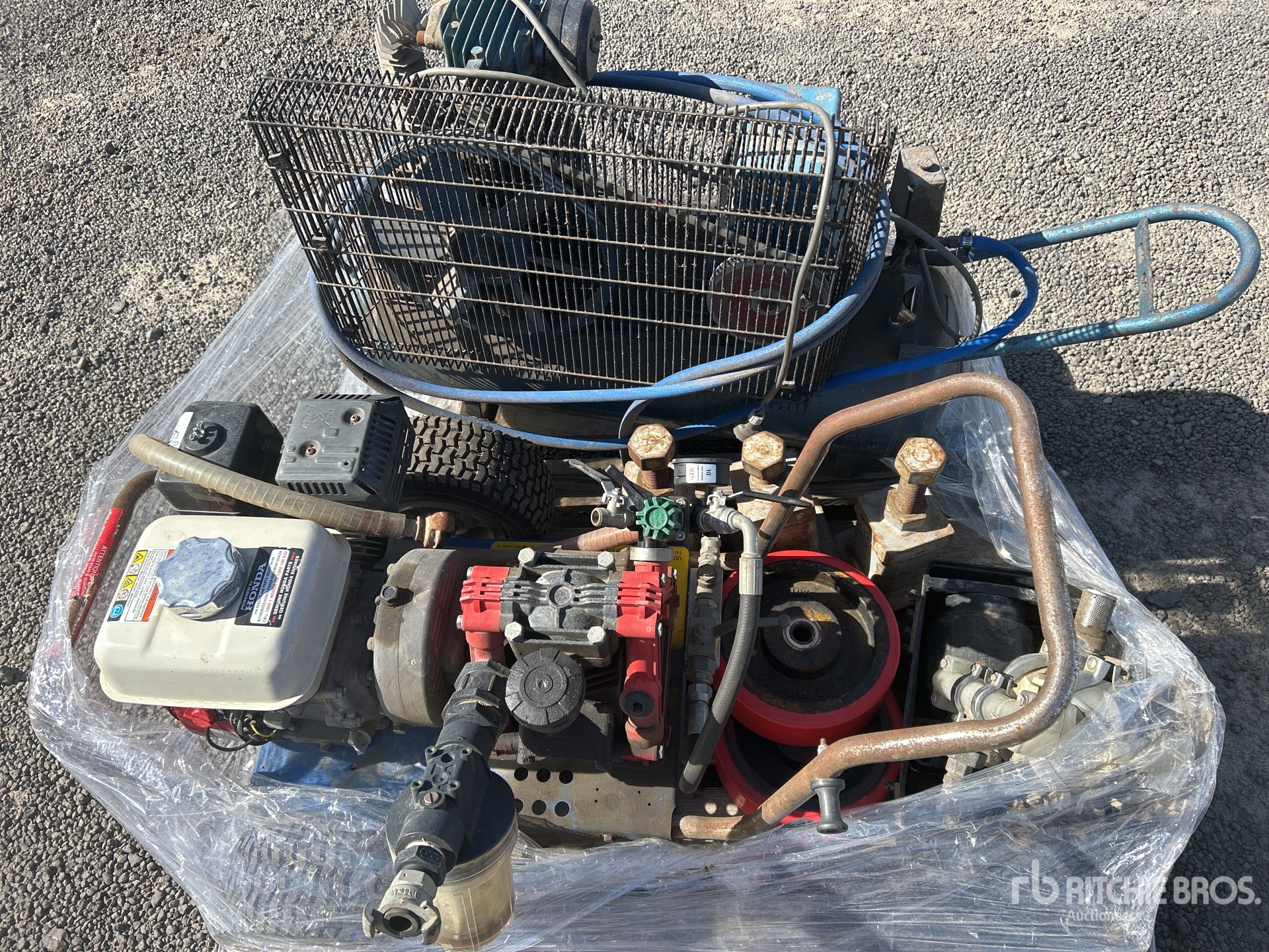 General Appearance with