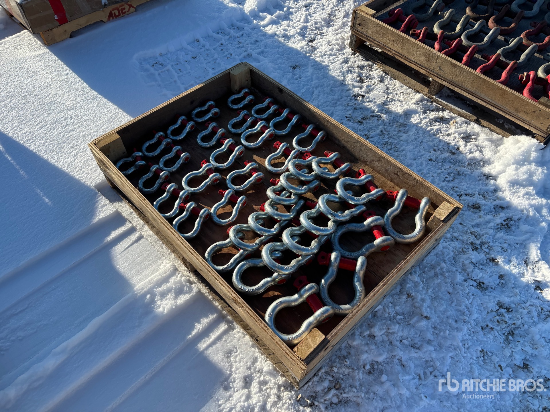 General Appearance with Zdjęcie, prawy dolny róg