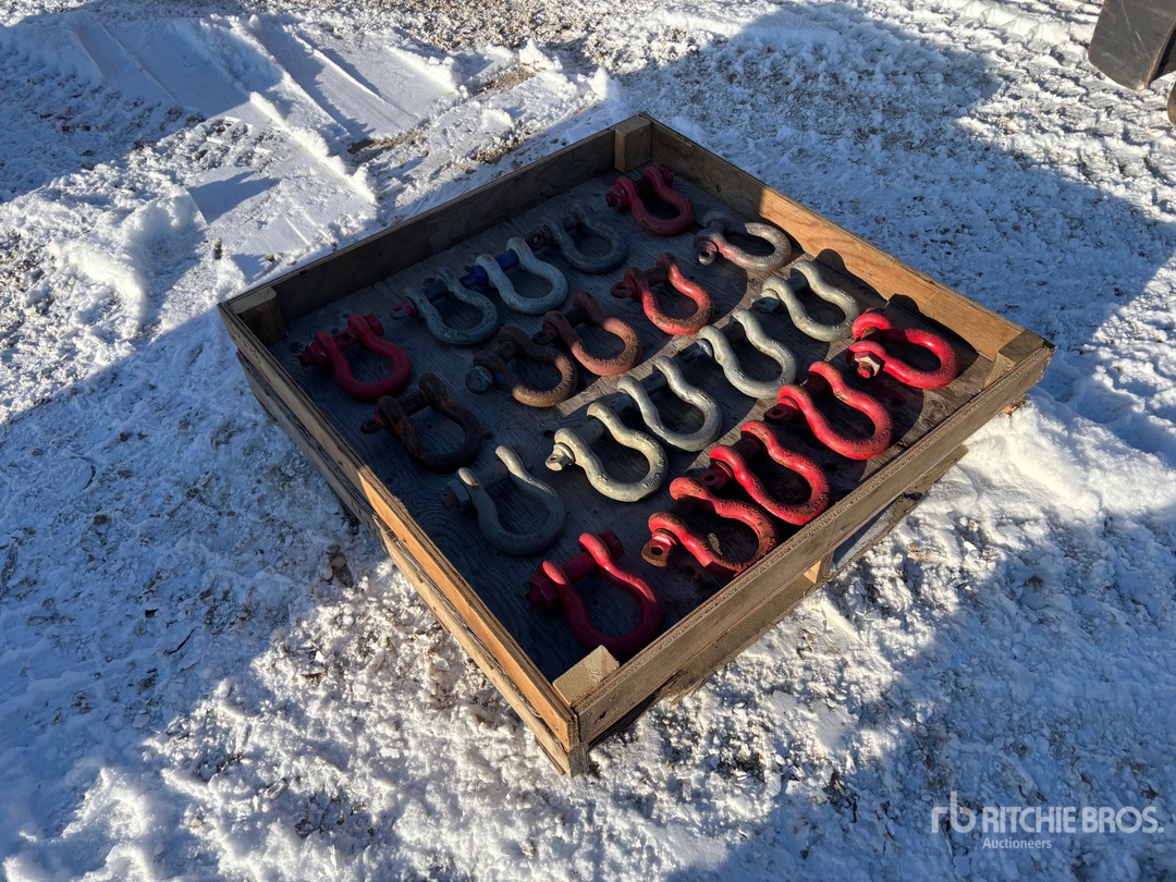 General Appearance with Zdjęcie, lewy dolny róg