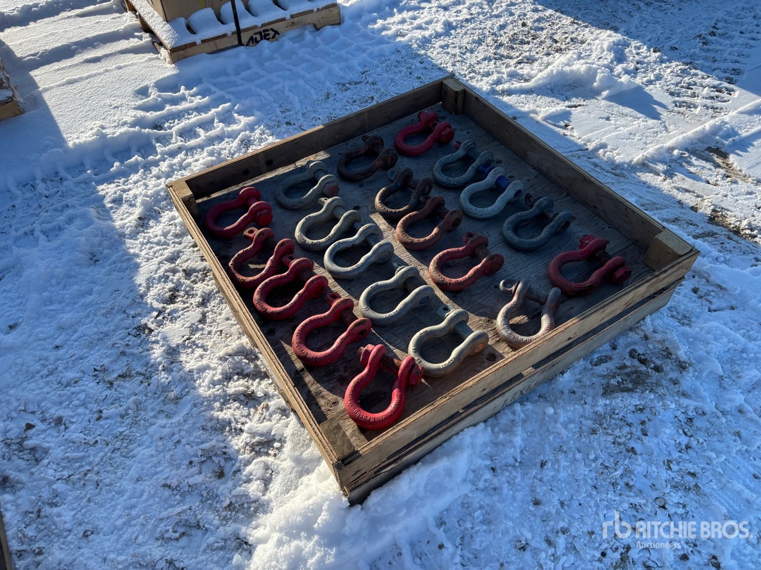 General Appearance with Zdjęcie, prawy dolny róg