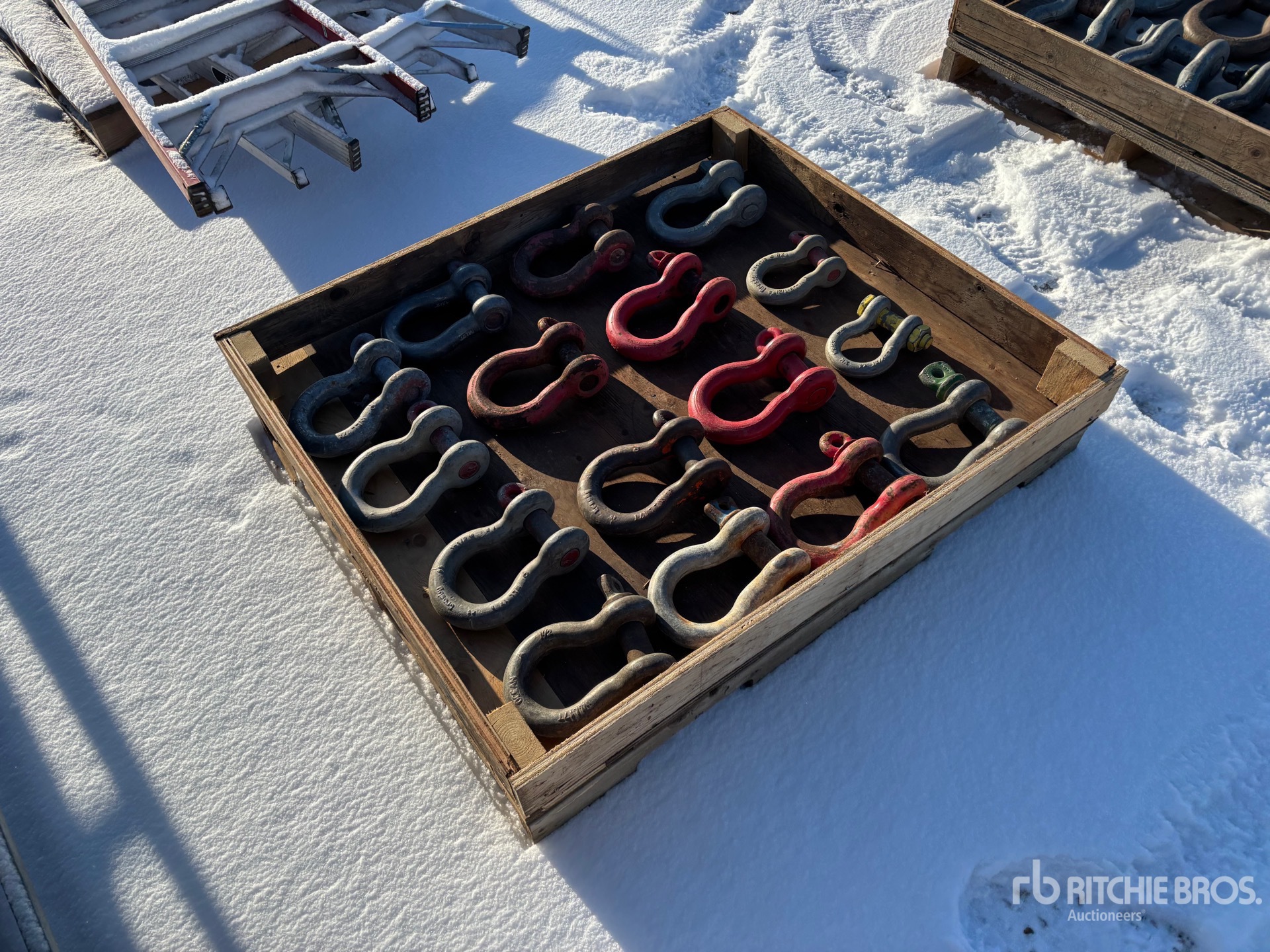 General Appearance with Zdjęcie, prawy dolny róg