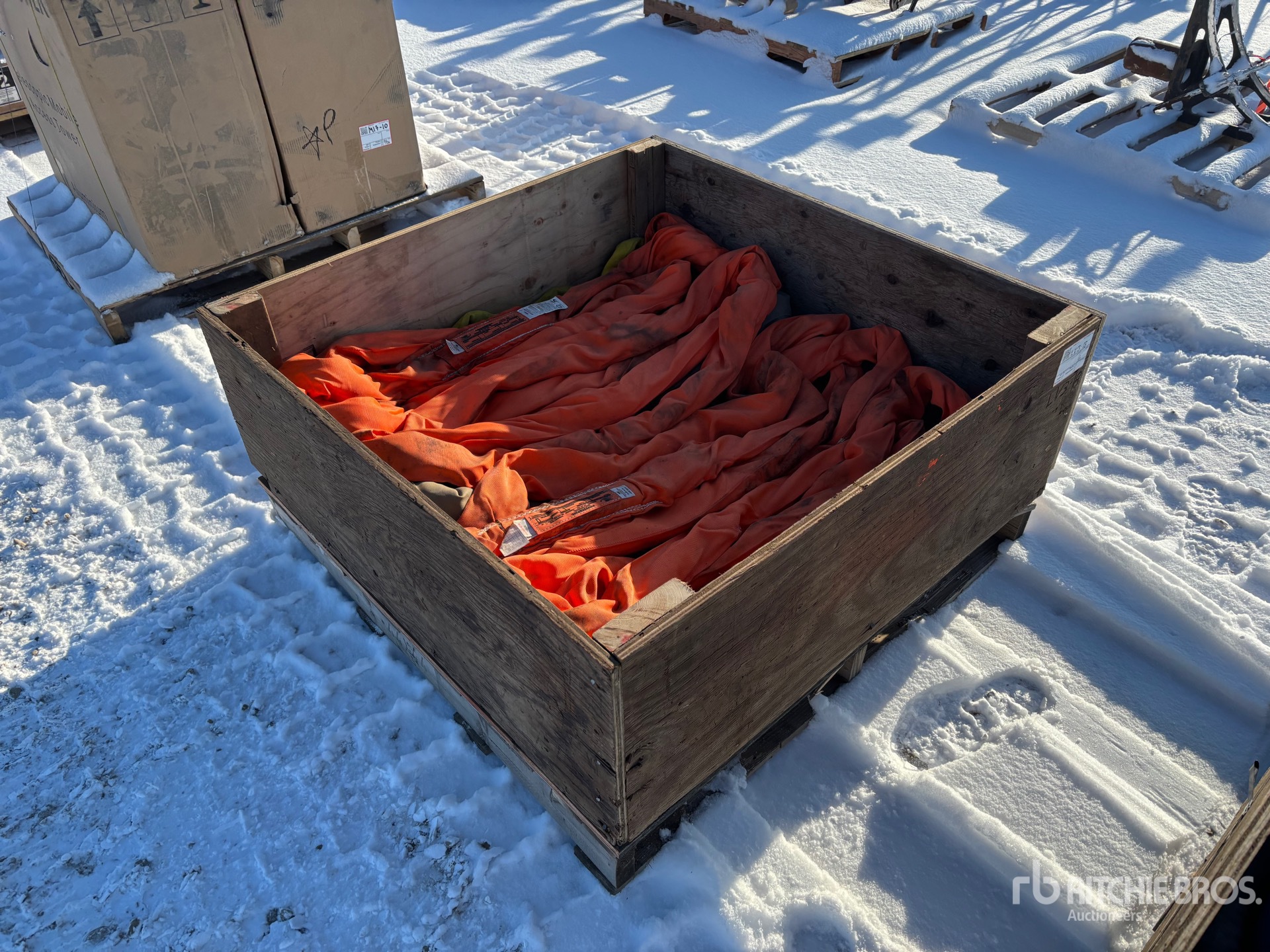 General Appearance with Zdjęcie, prawy górny róg