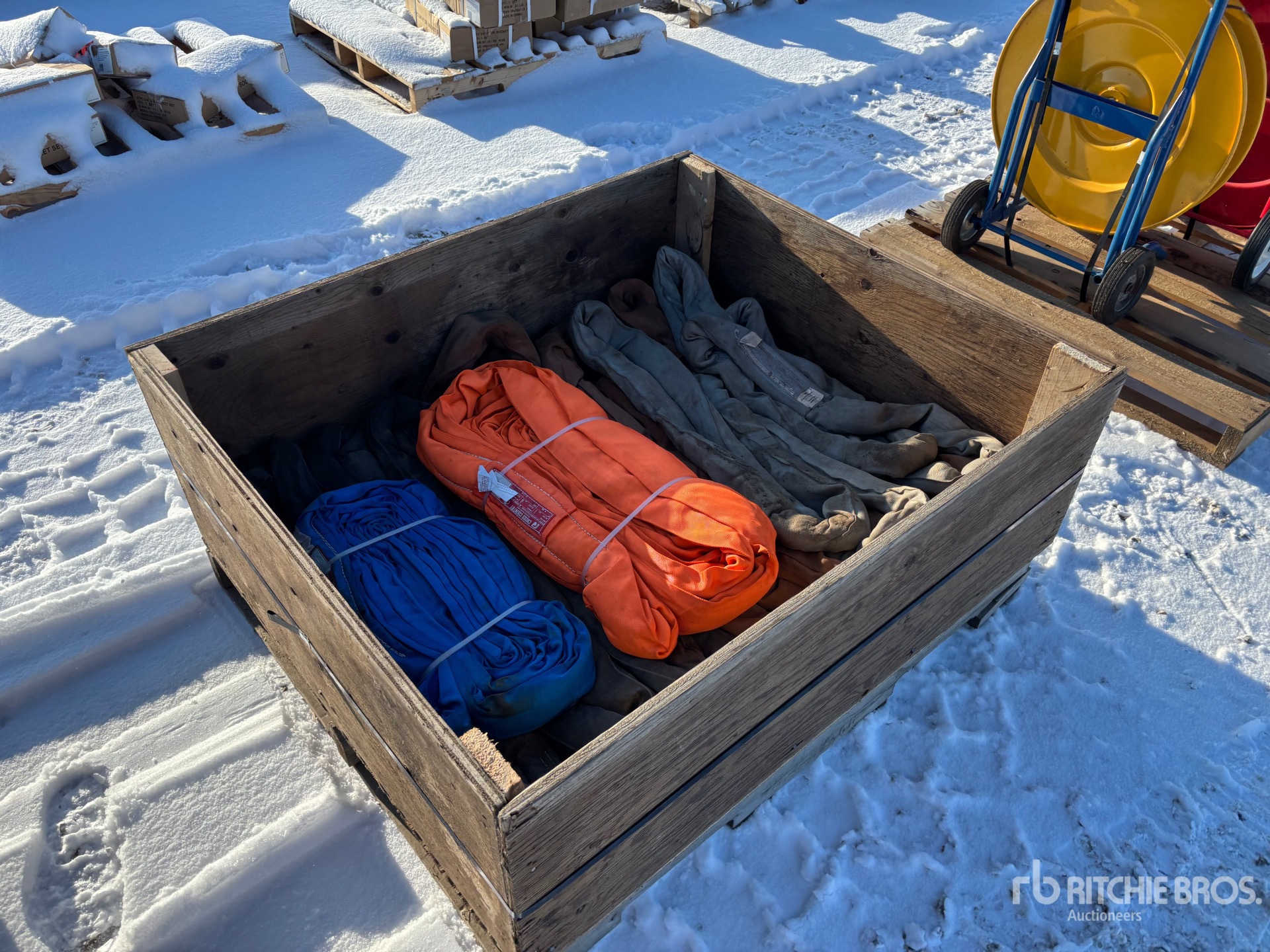 General Appearance with Zdjęcie, prawy dolny róg