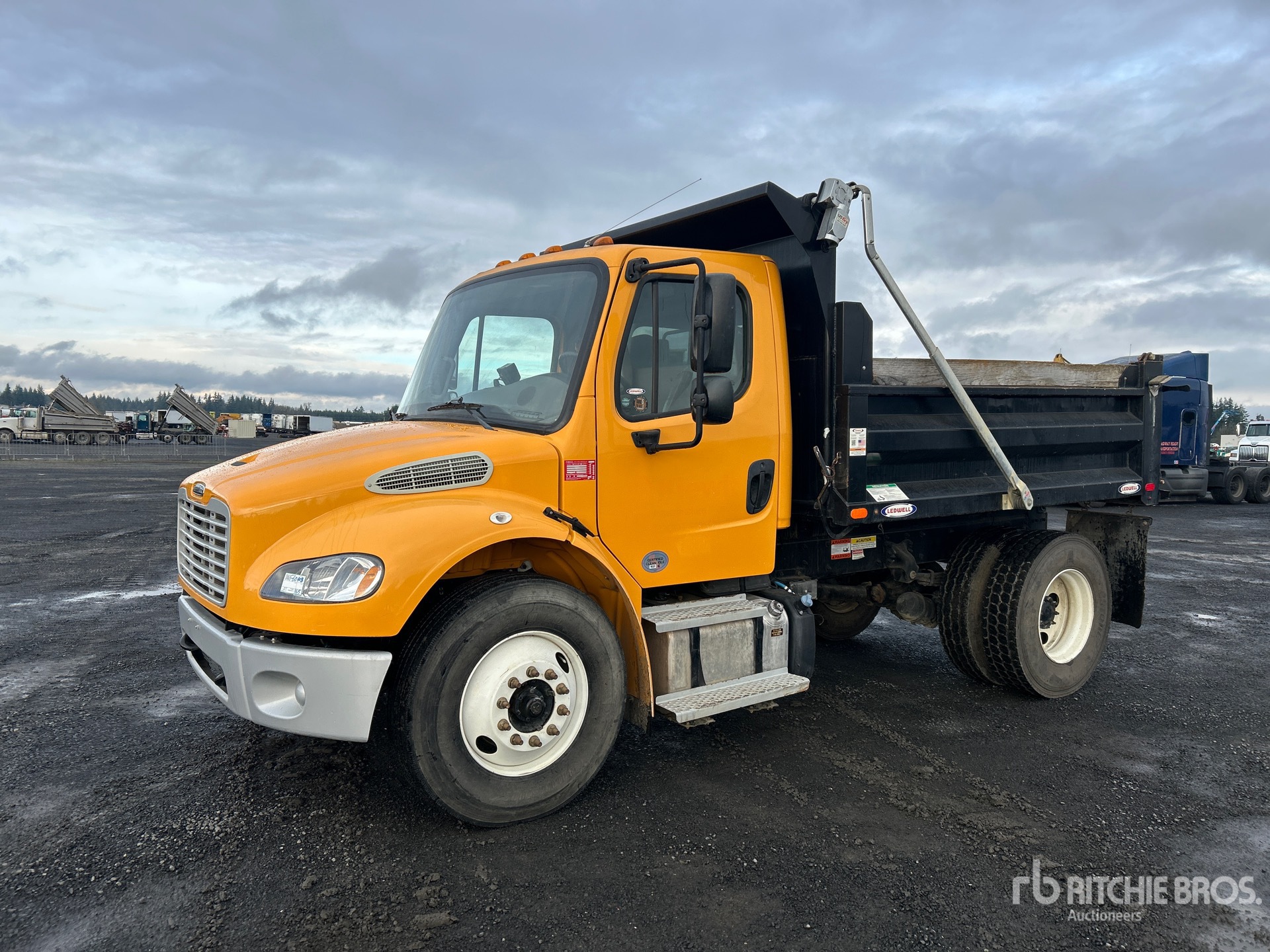 General Appearance with Spin