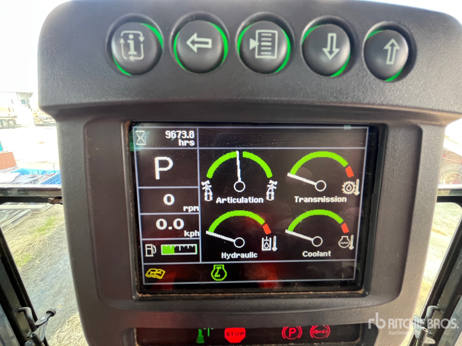 General Appearance with 