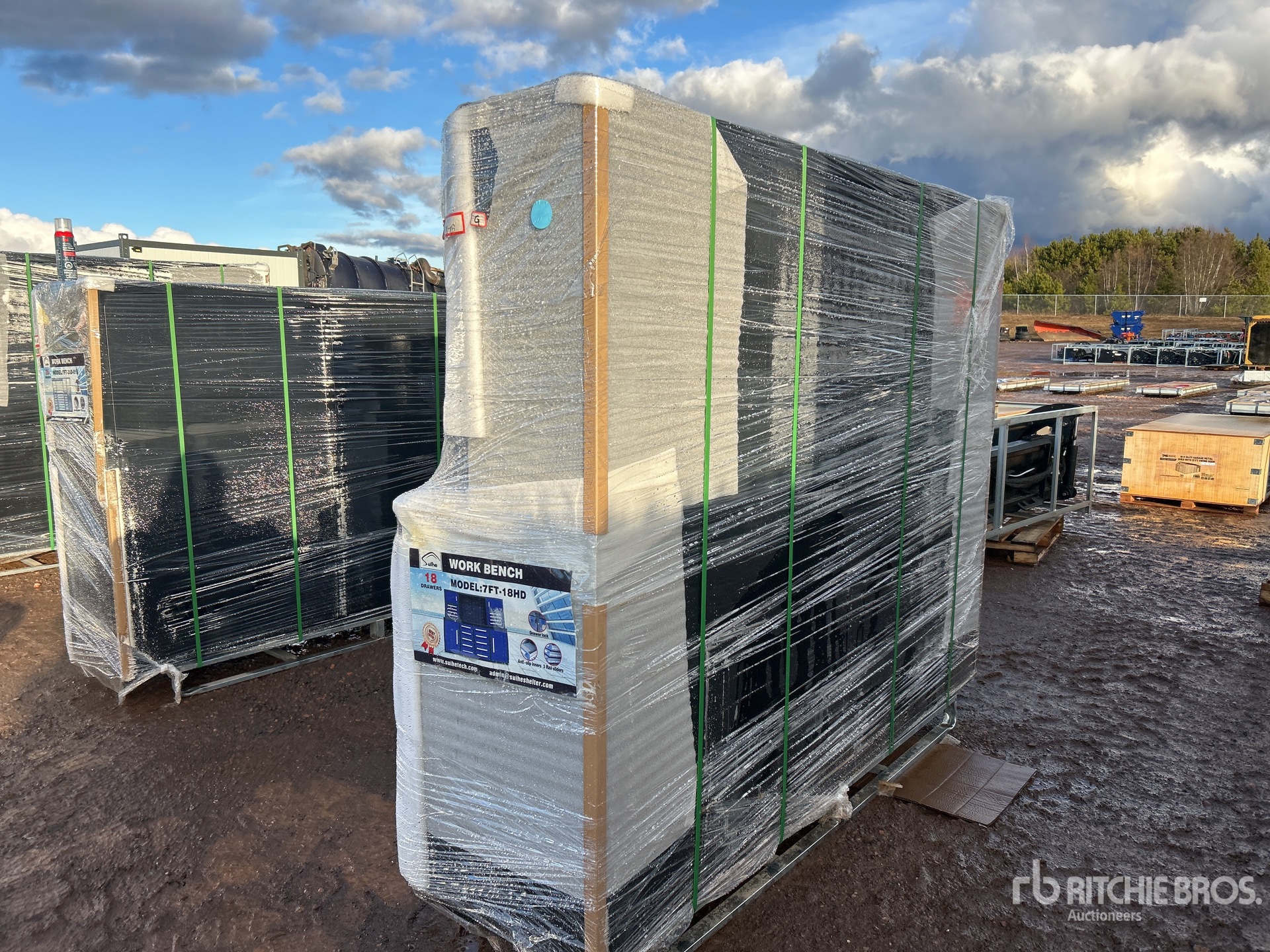 General Appearance with Picture, Left Rear Corner