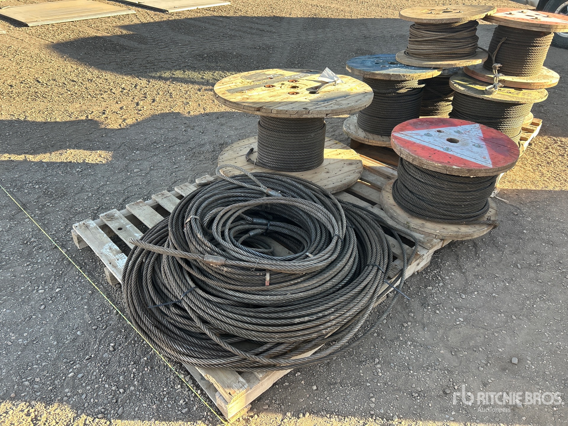 General Appearance with Foto, angolo anteriore sinistro