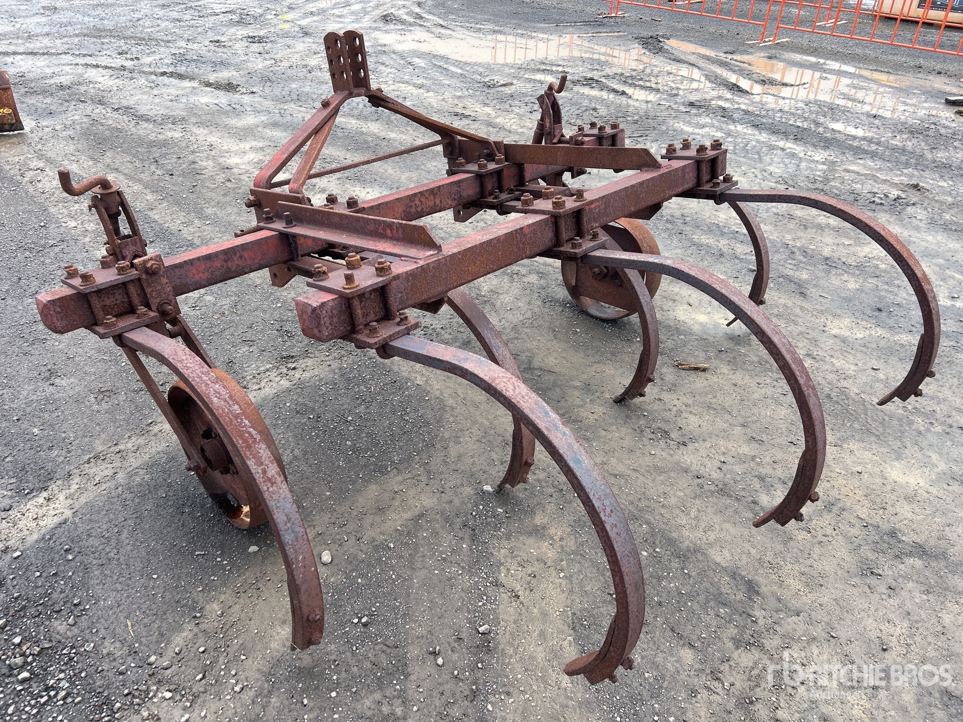 General Appearance with Zdjęcie, lewy dolny róg