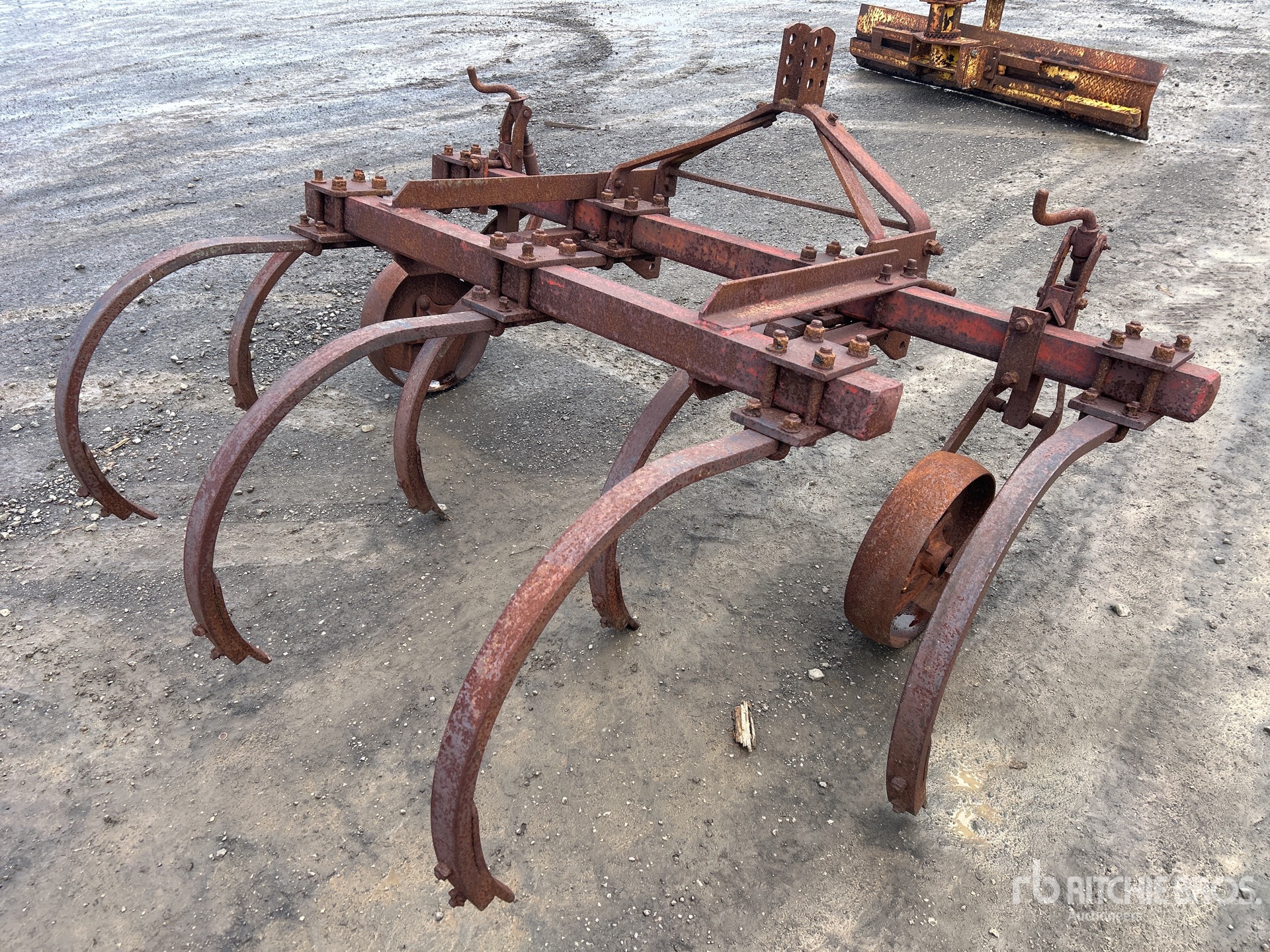 General Appearance with Zdjęcie, prawy dolny róg