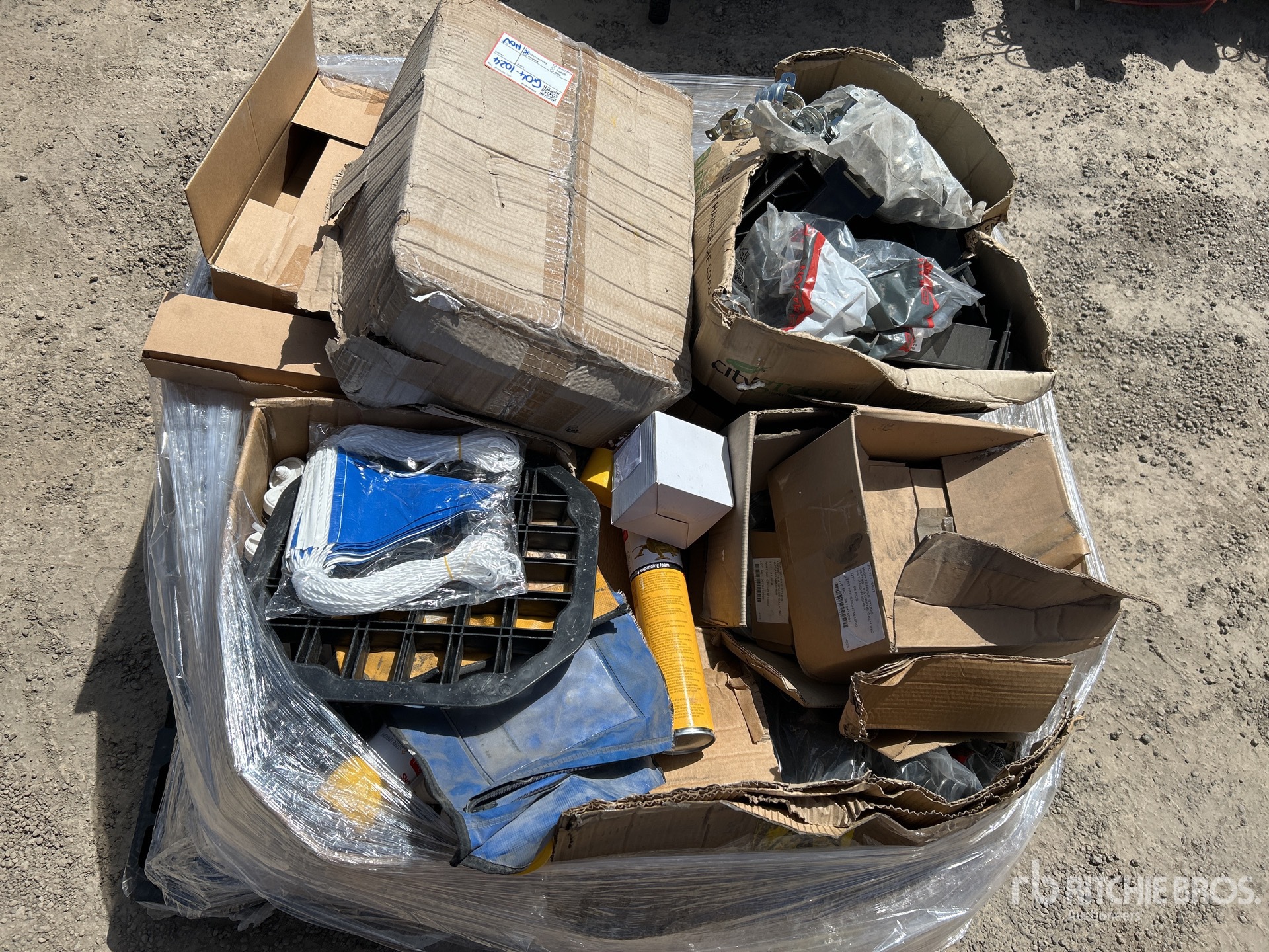 General Appearance with 