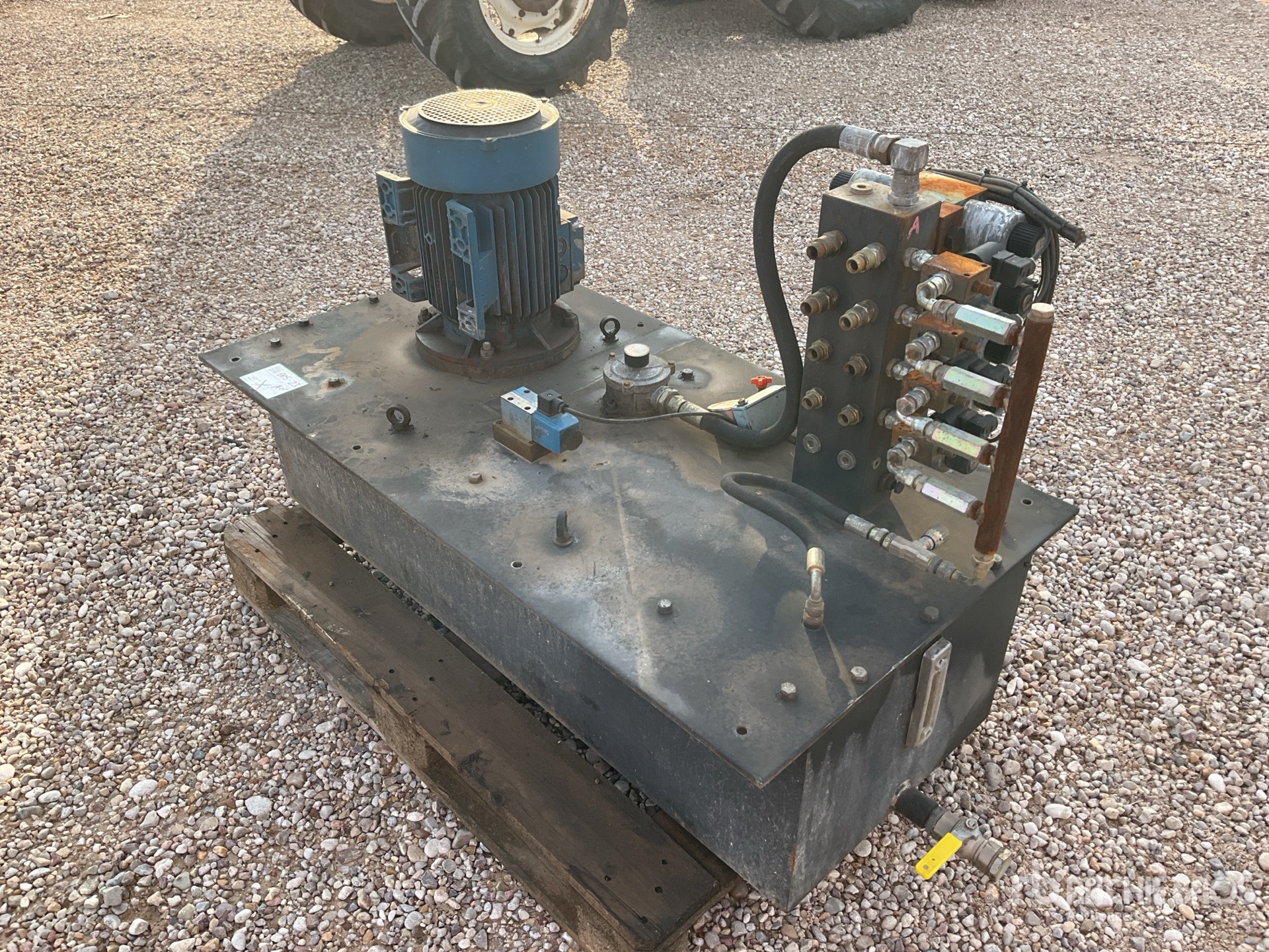 General Appearance with