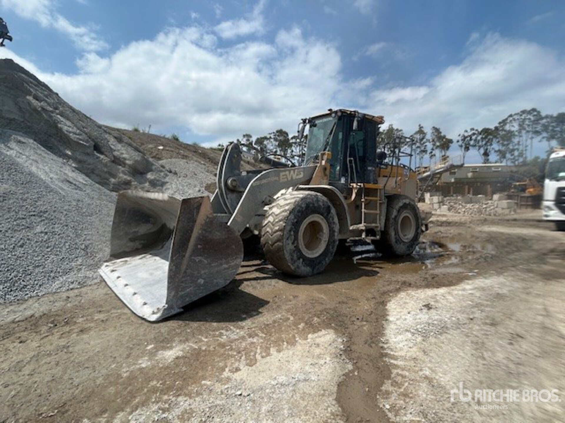 General Appearance with 