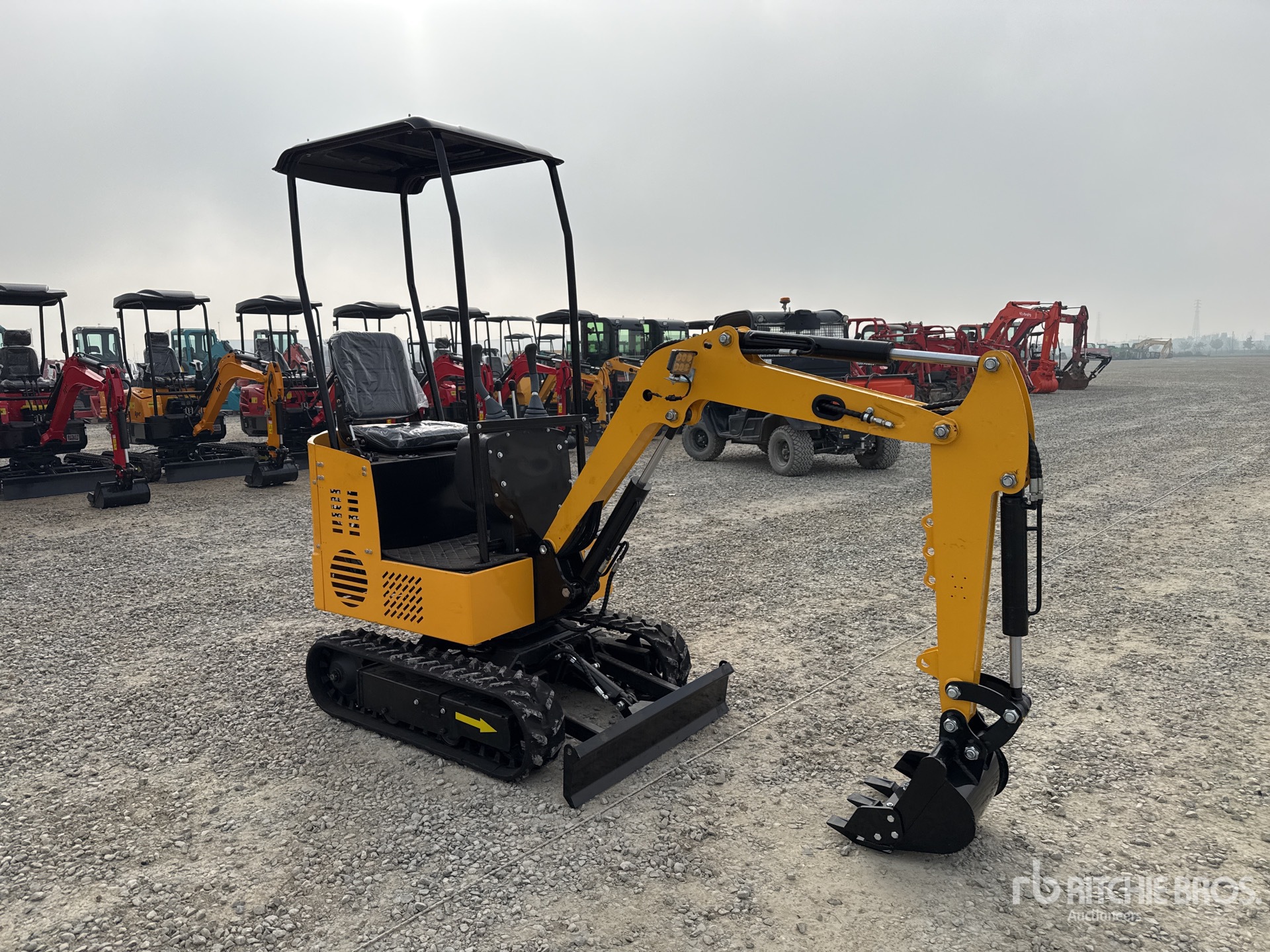 General Appearance with 