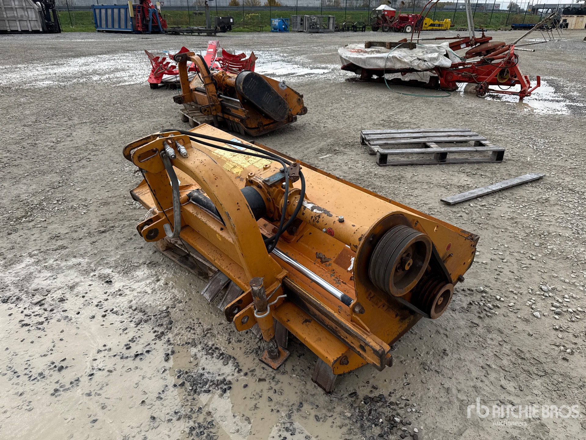 General Appearance with 