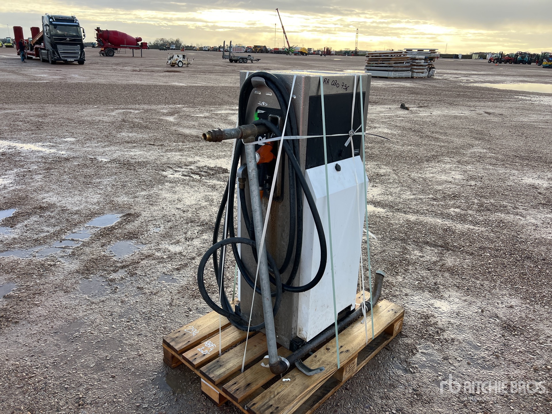 General Appearance with