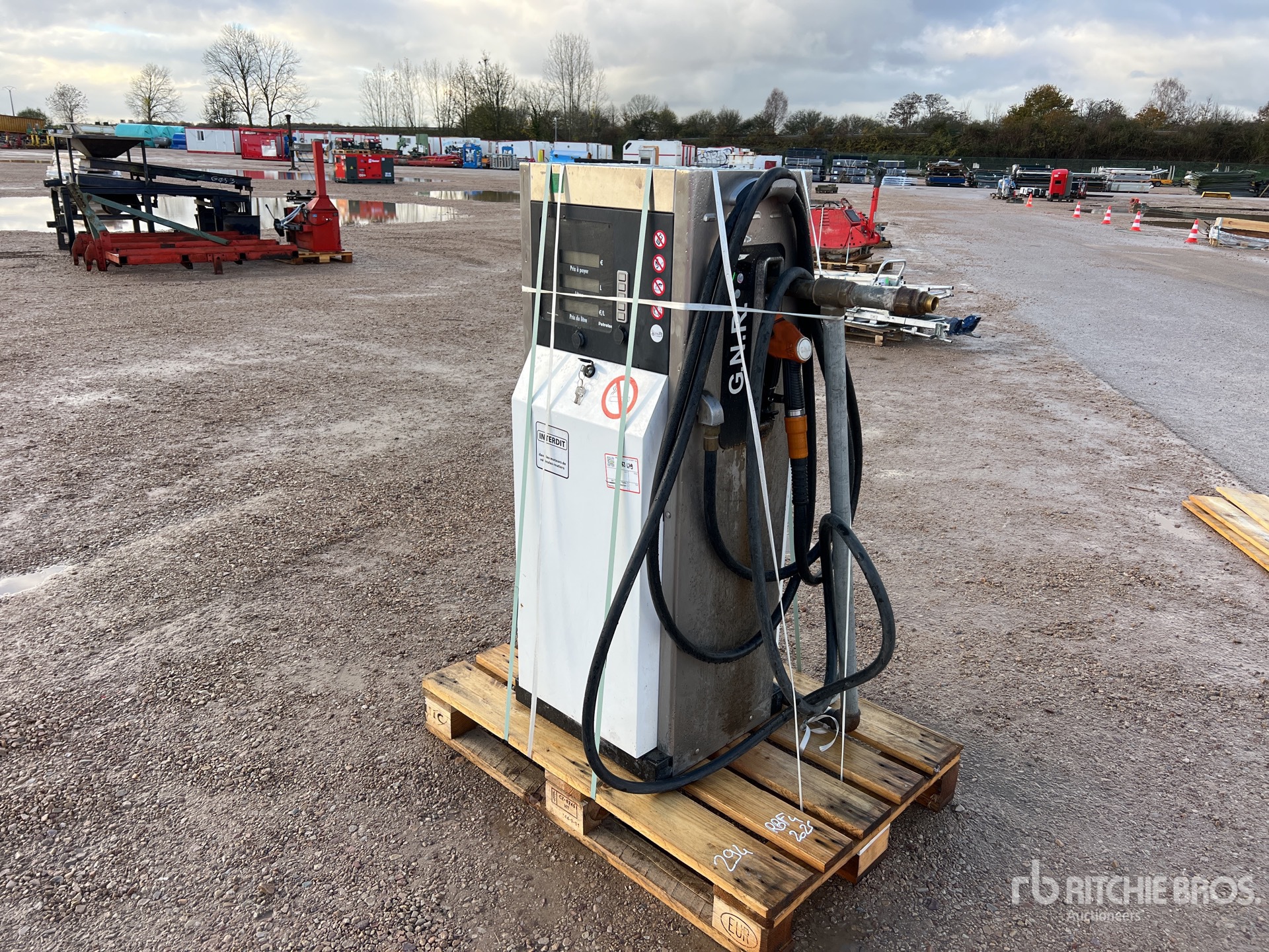 General Appearance with