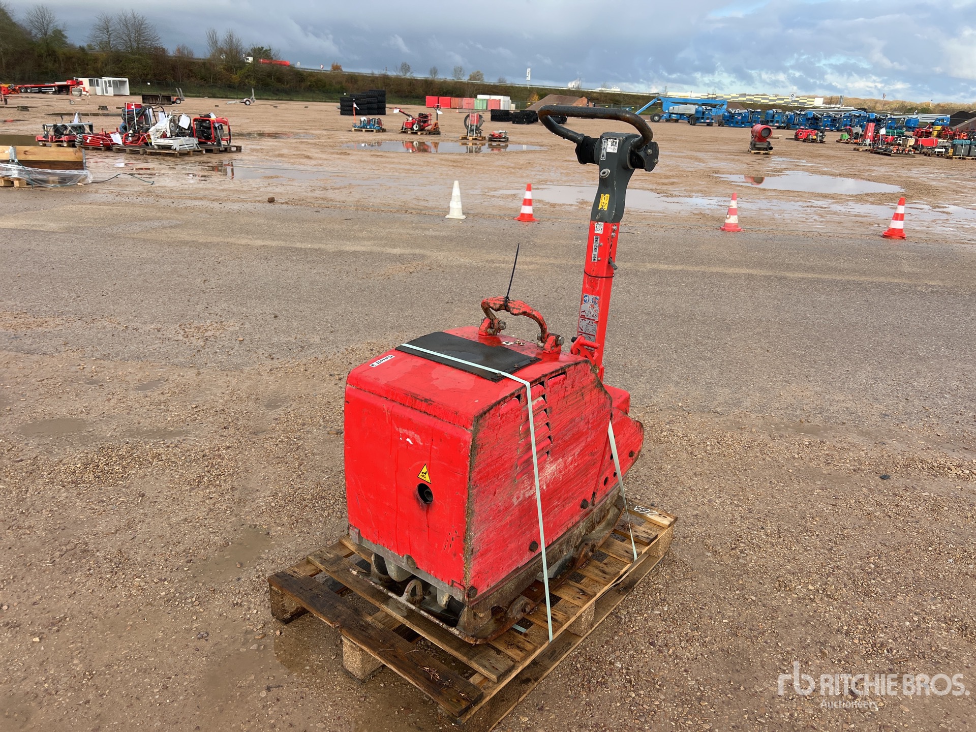 General Appearance with