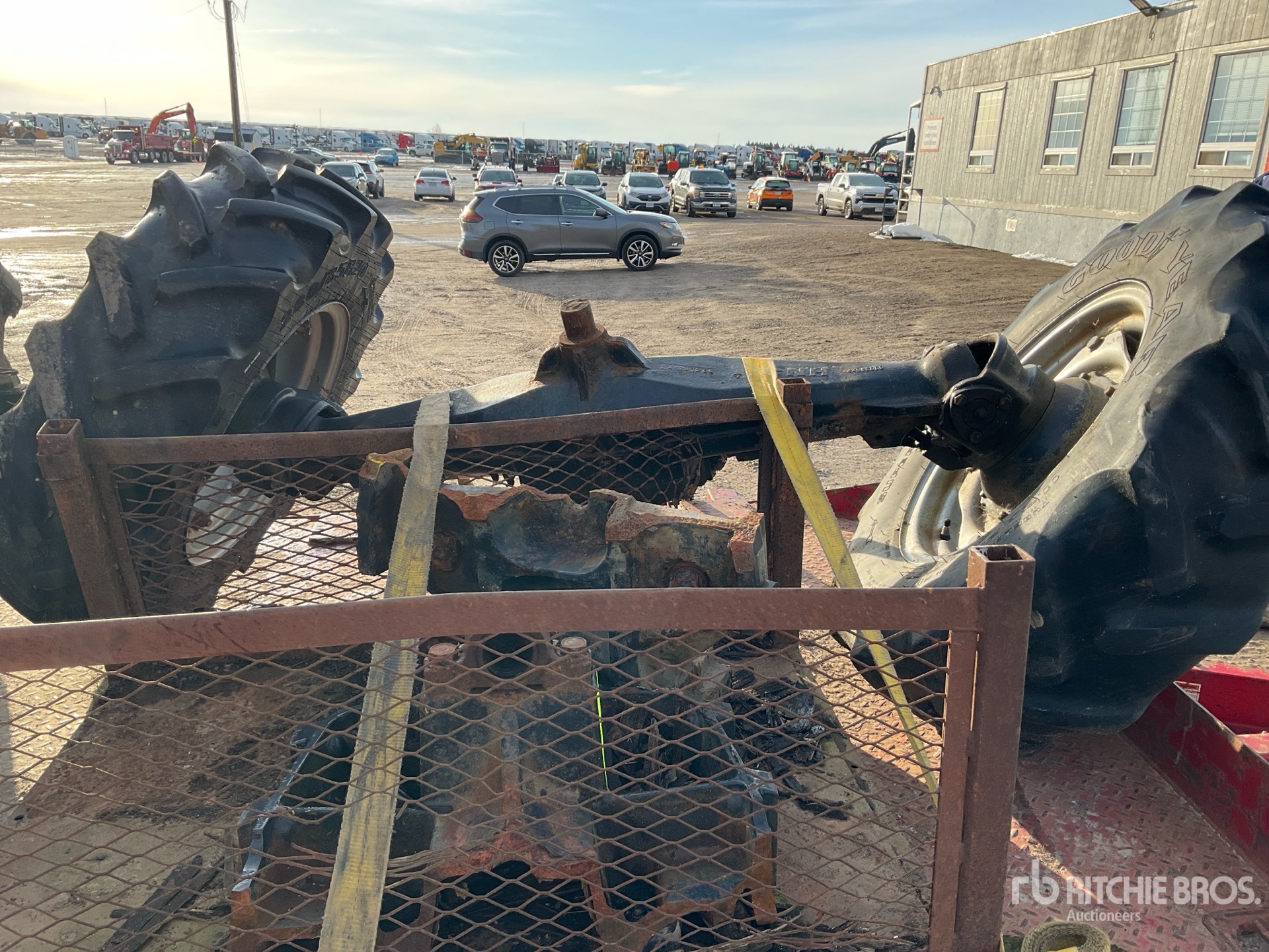 General Appearance with 