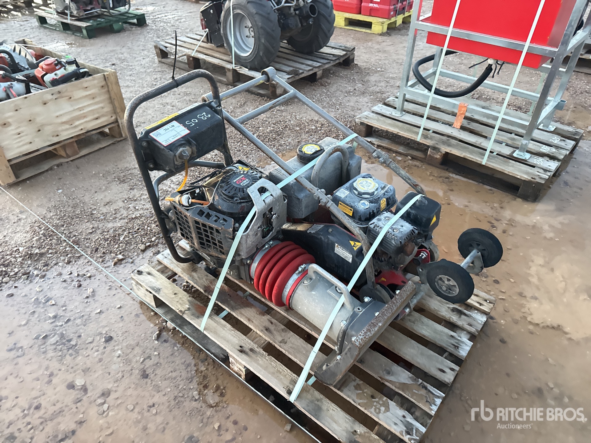 General Appearance with 