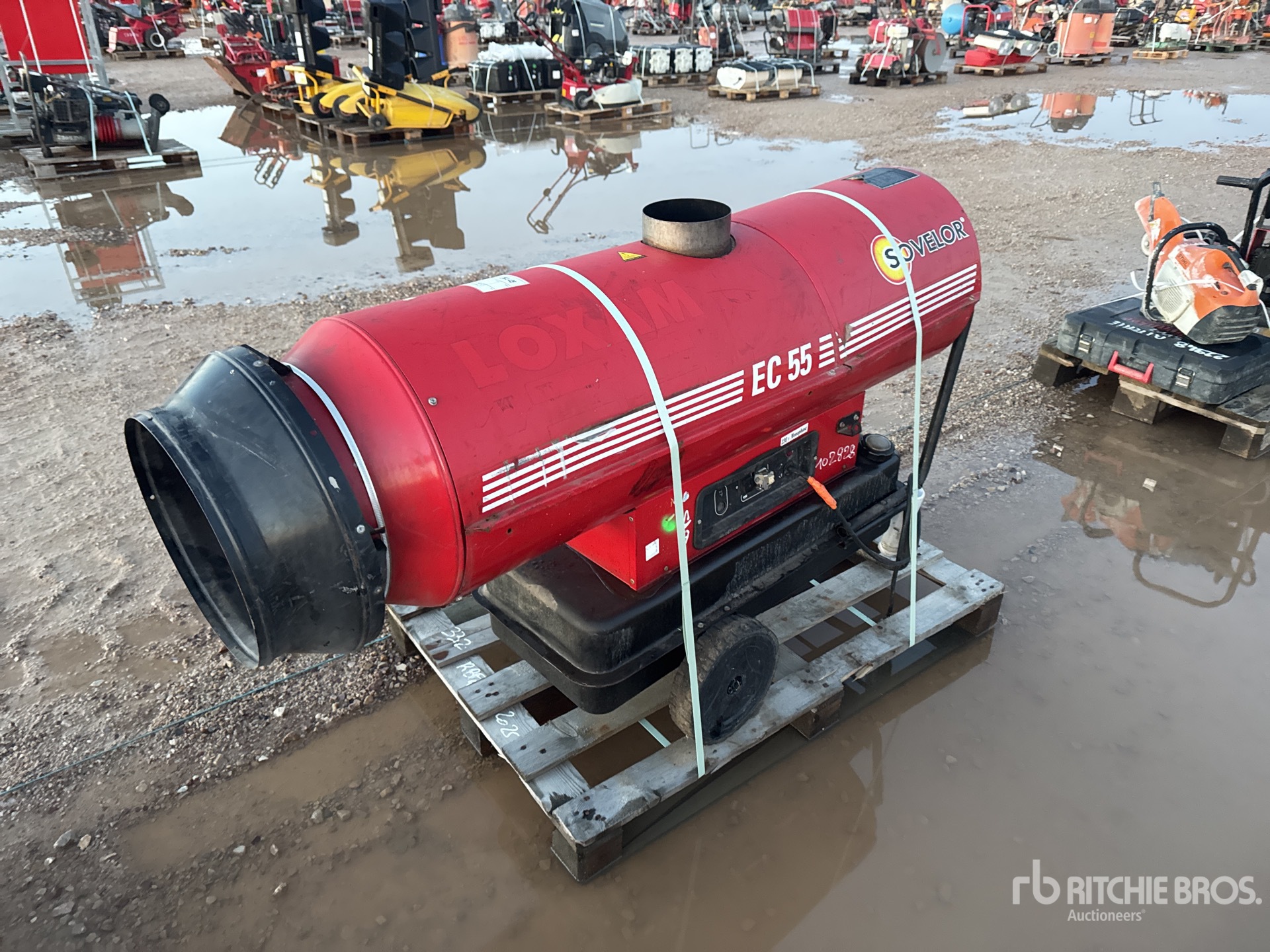 General Appearance with 