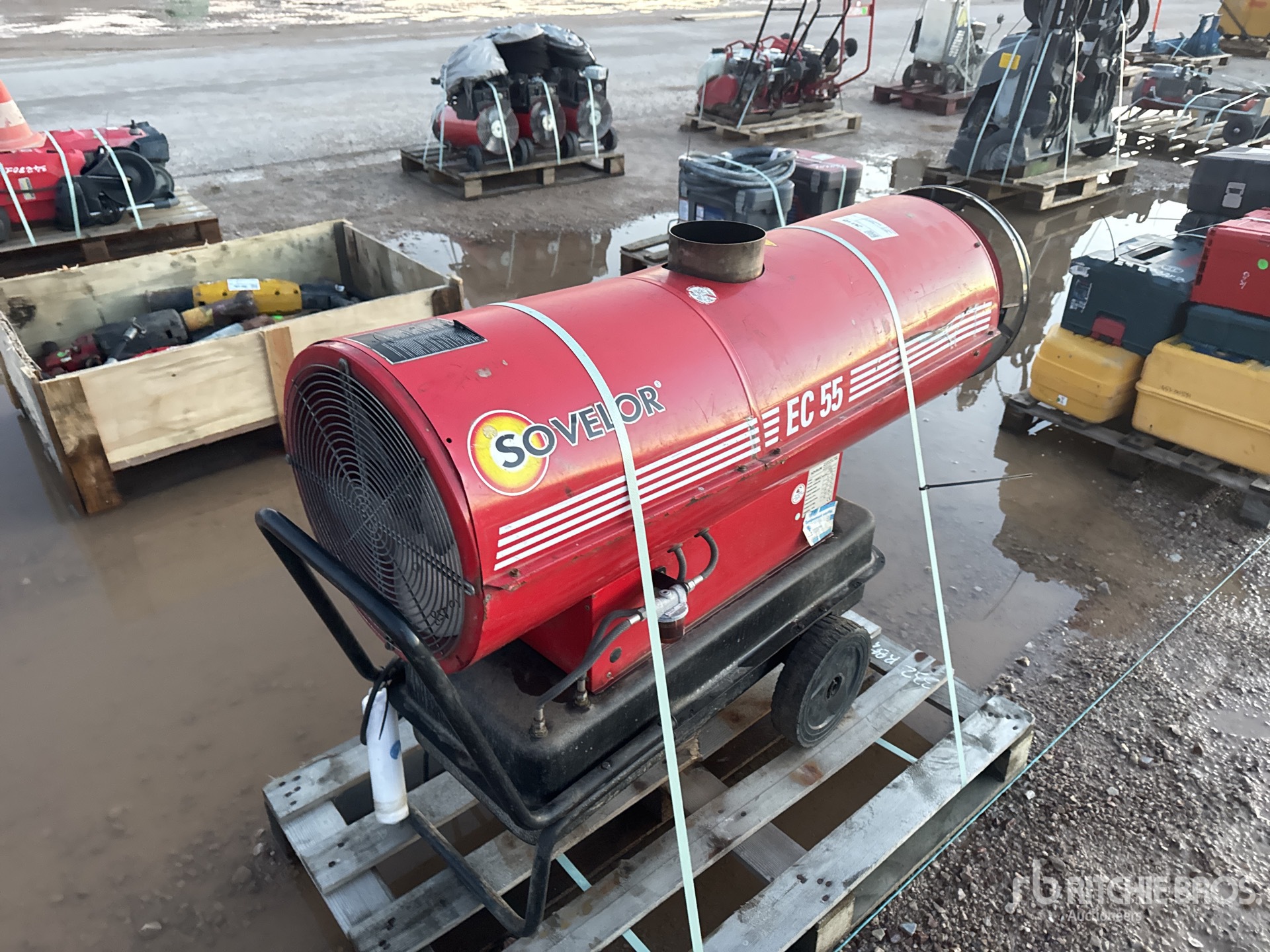 General Appearance with 