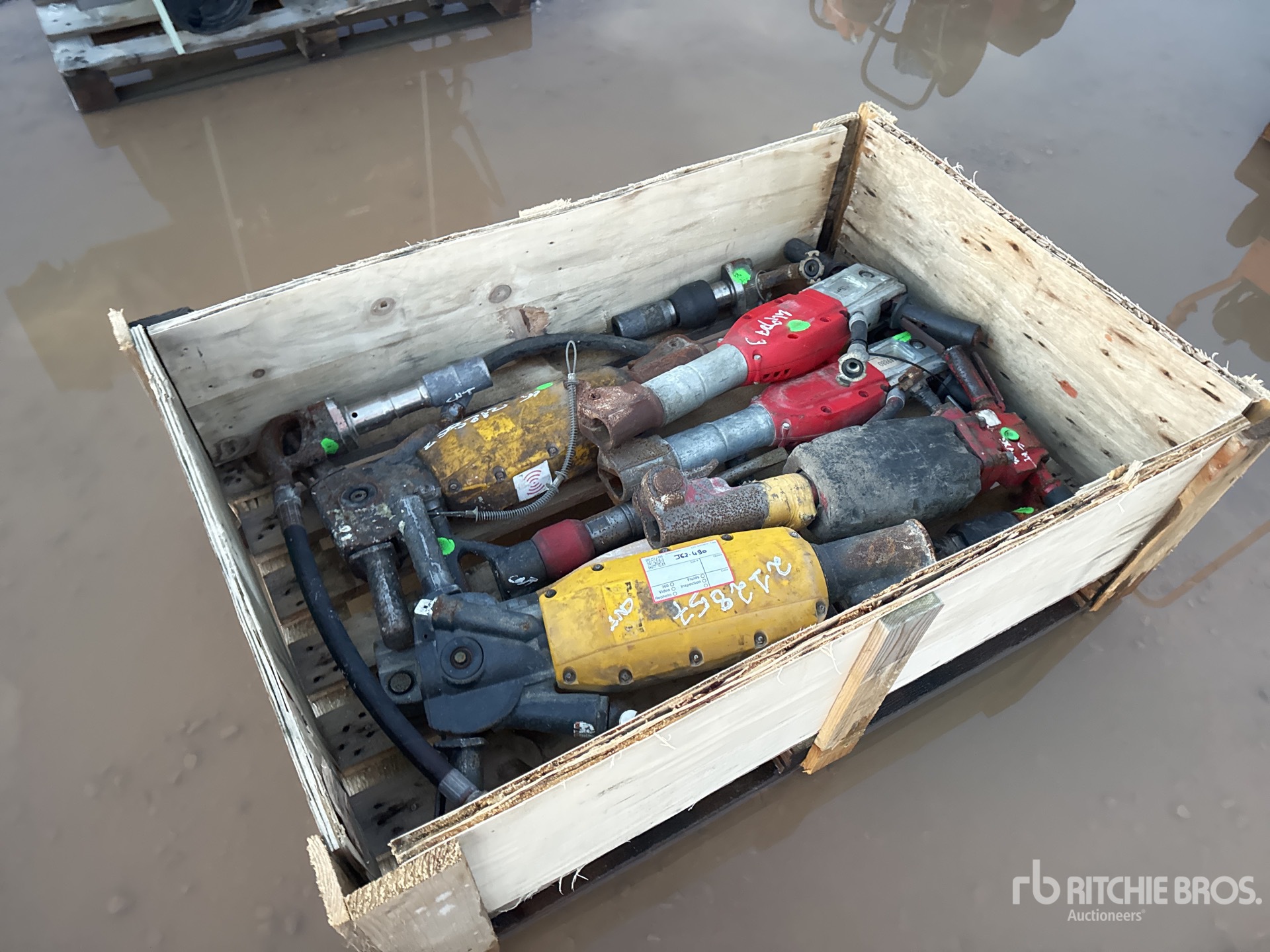 General Appearance with