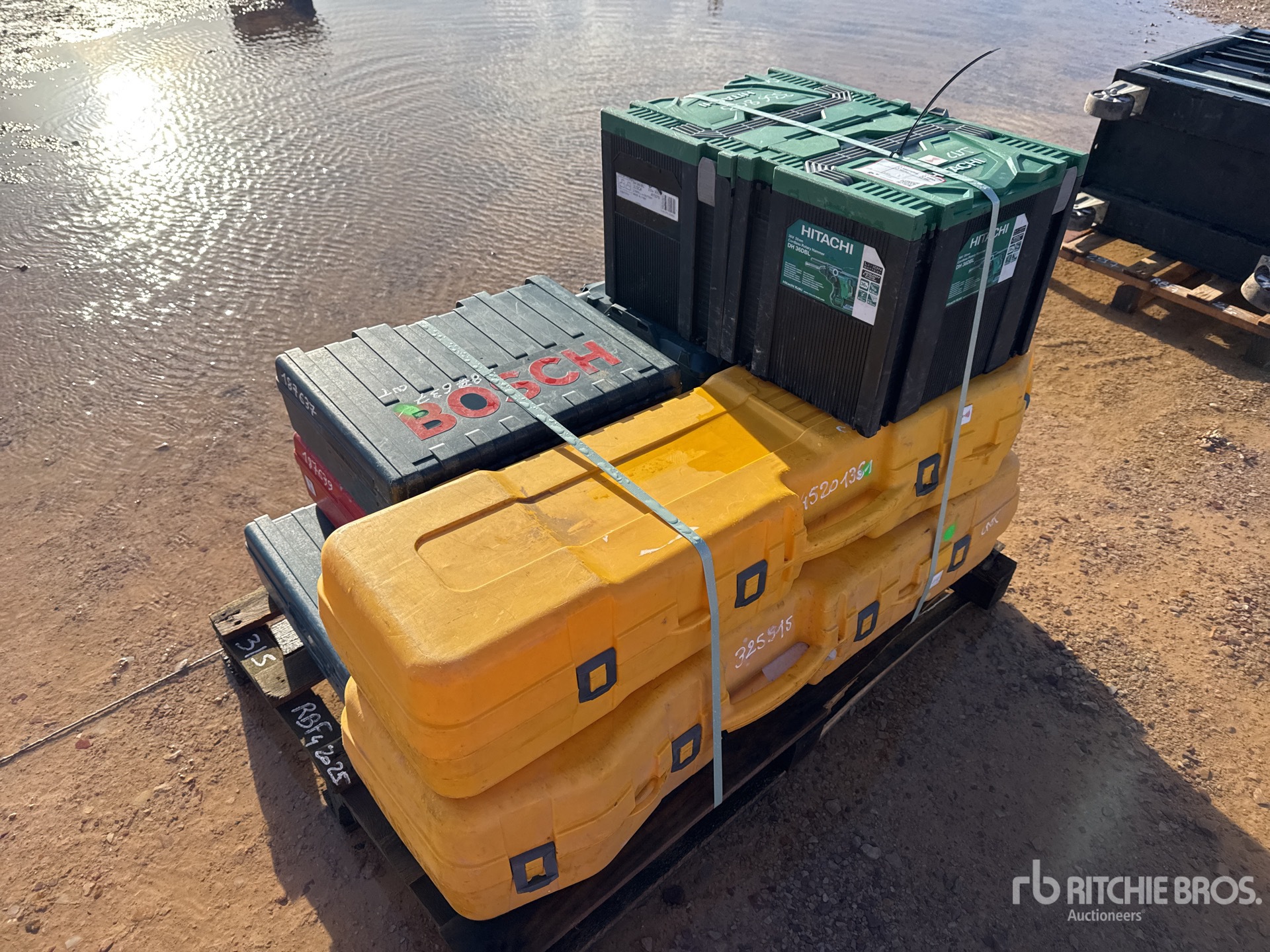 General Appearance with 