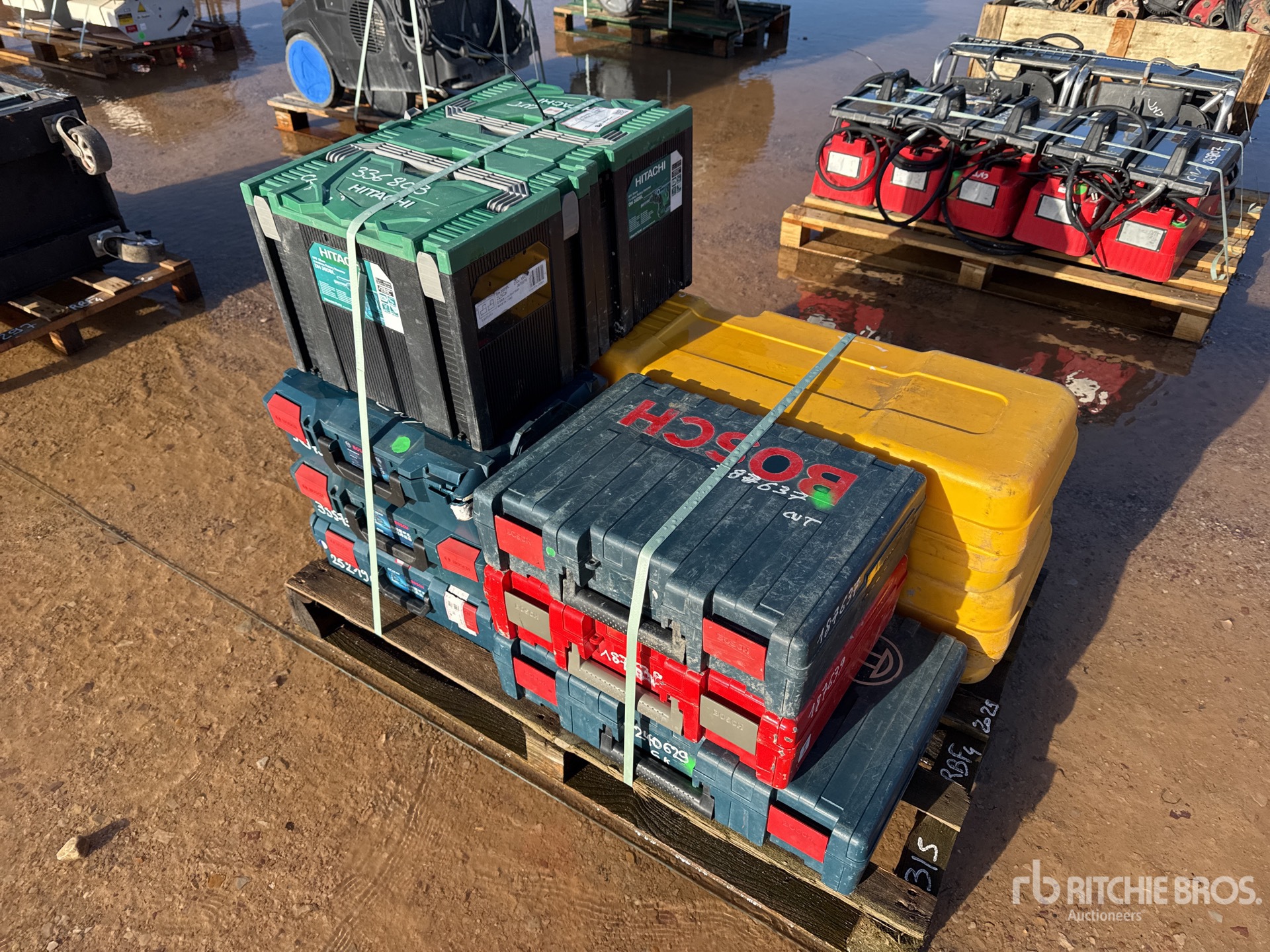 General Appearance with 