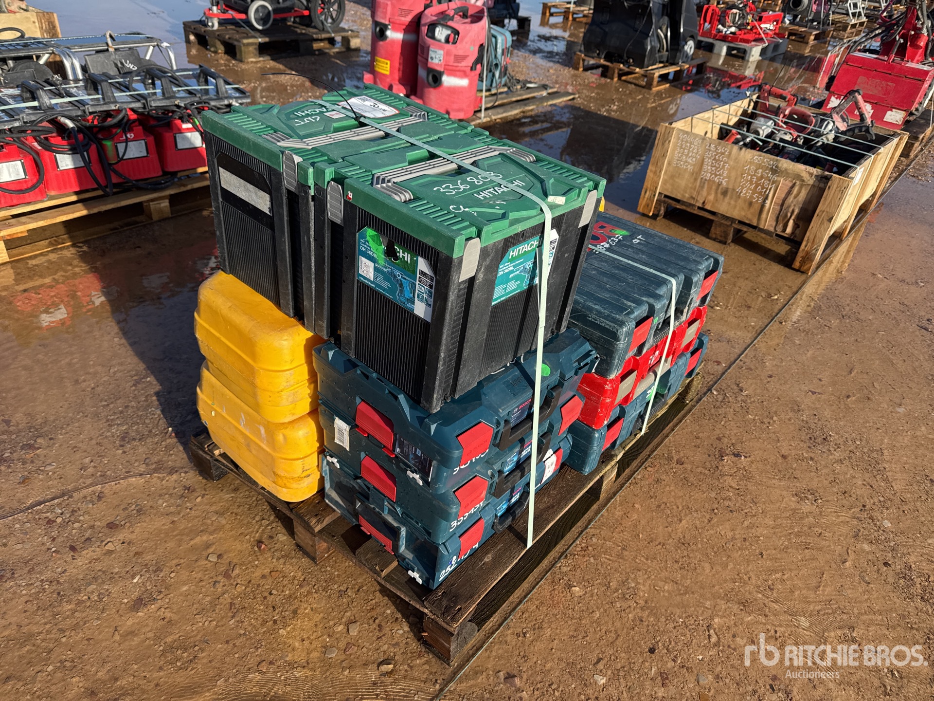 General Appearance with 