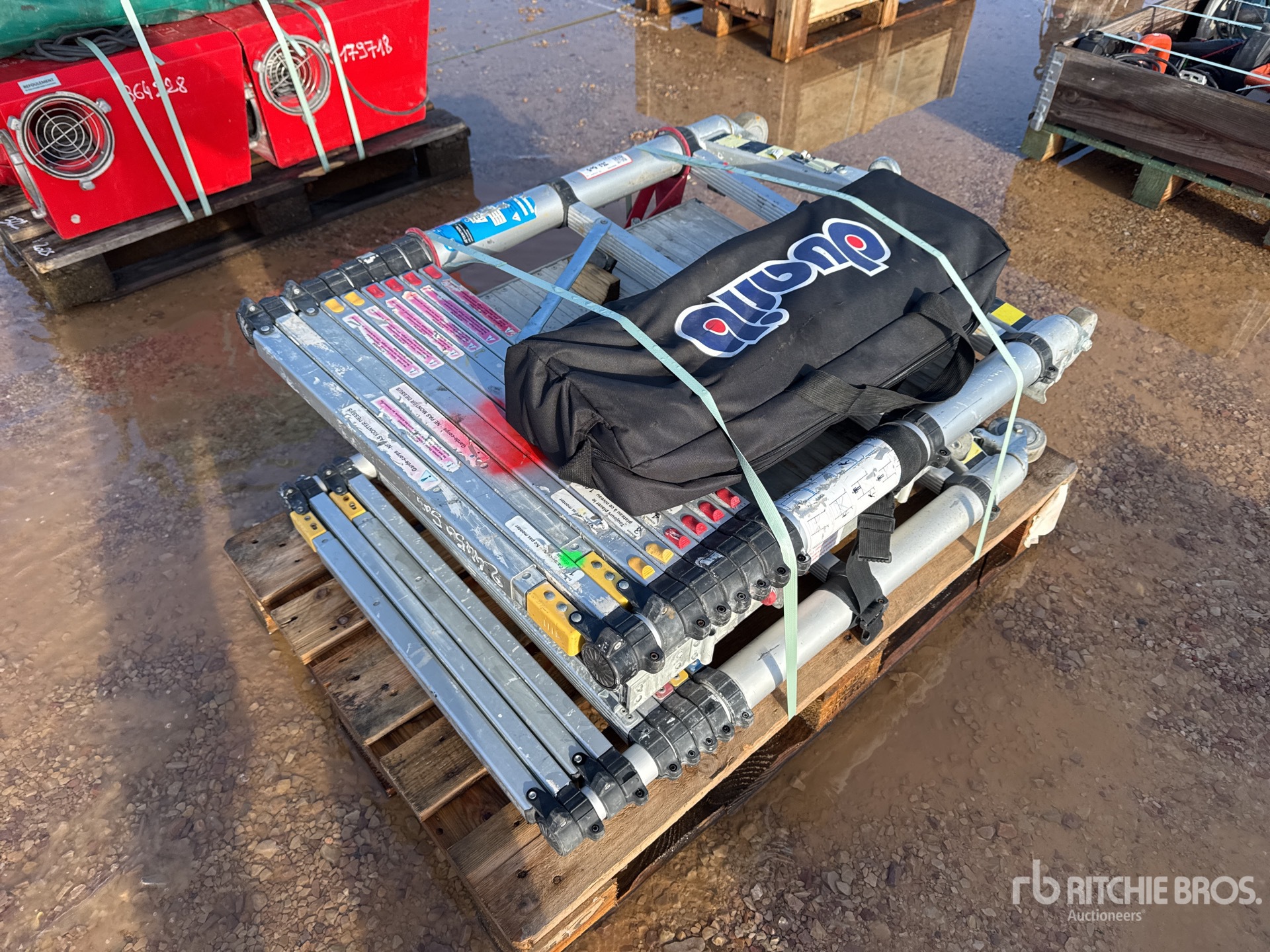 General Appearance with 