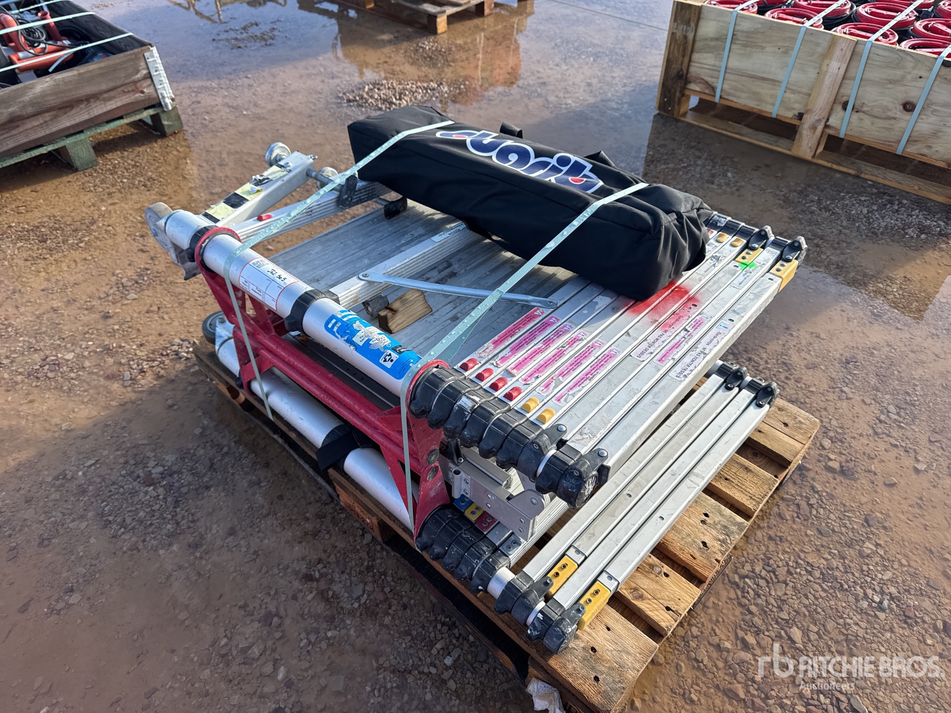 General Appearance with 