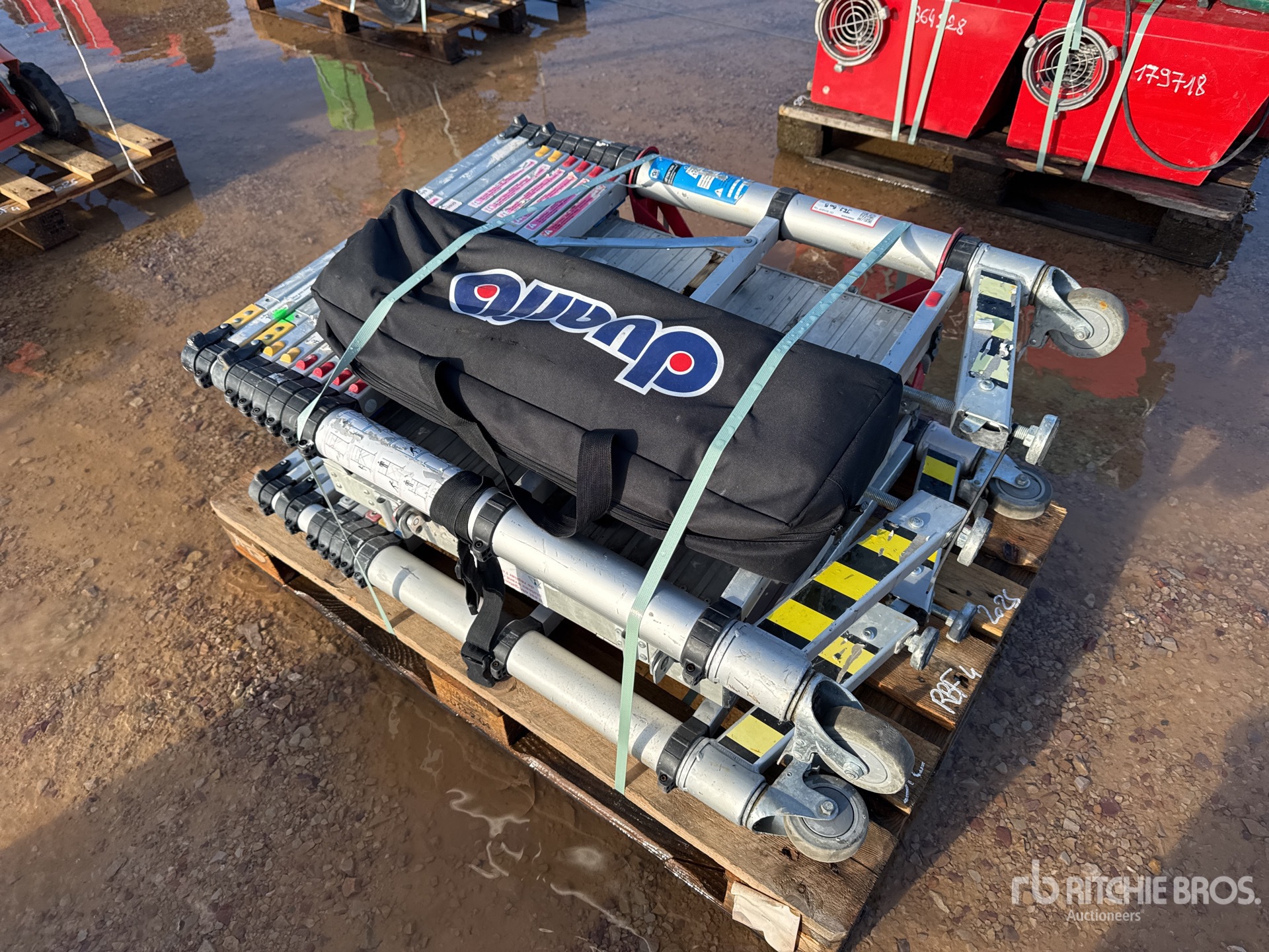 General Appearance with 