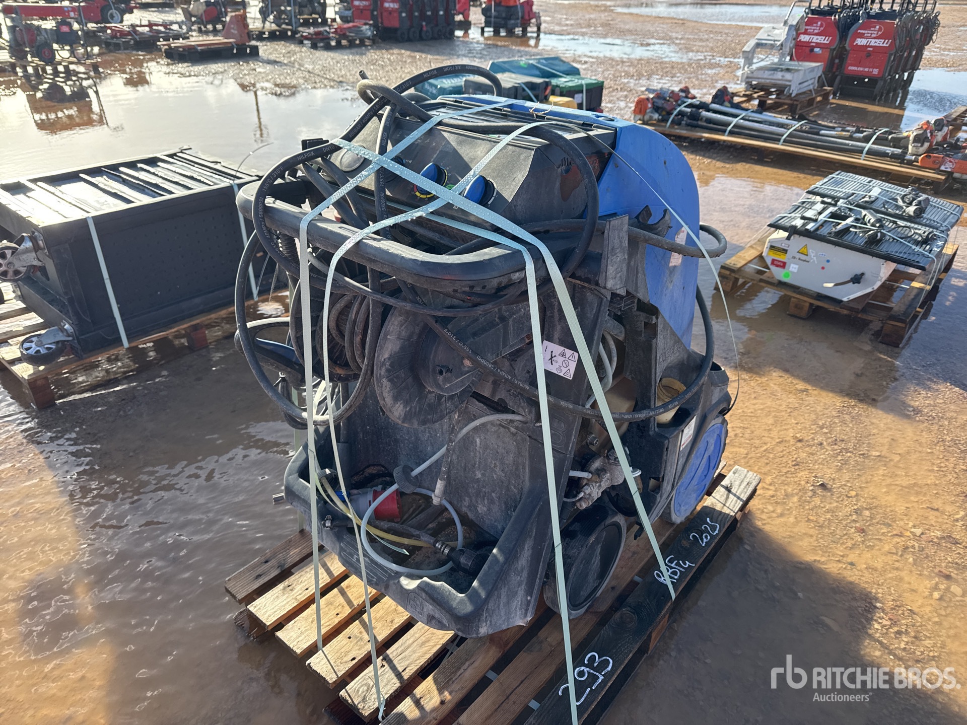 General Appearance with 