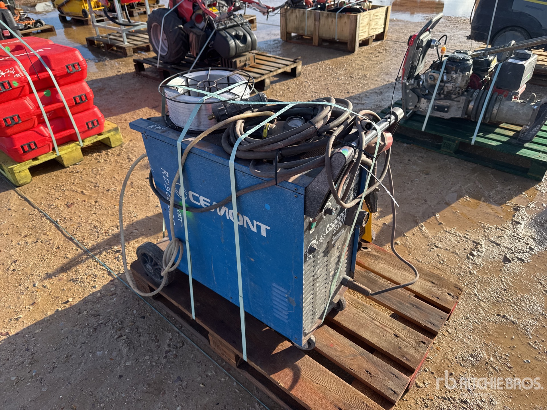 General Appearance with 