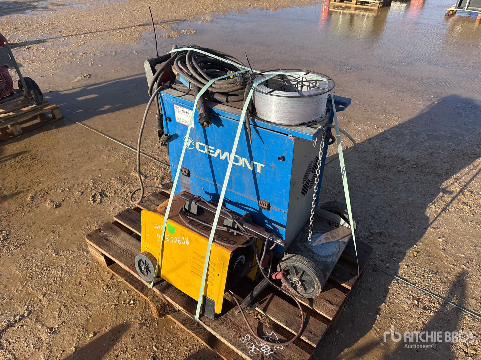 General Appearance with 