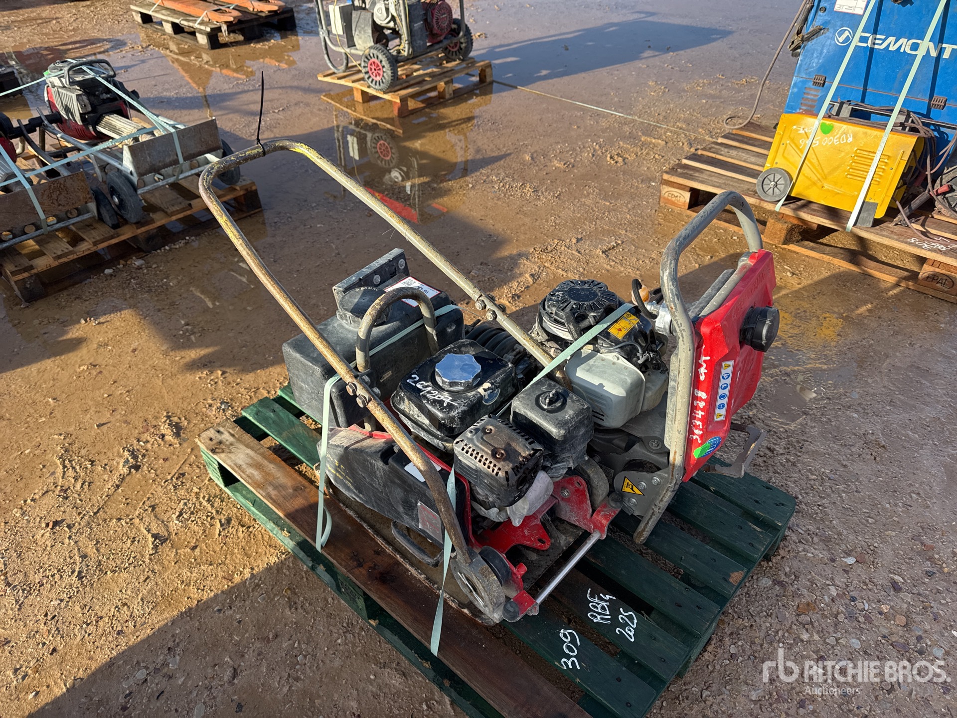 General Appearance with 