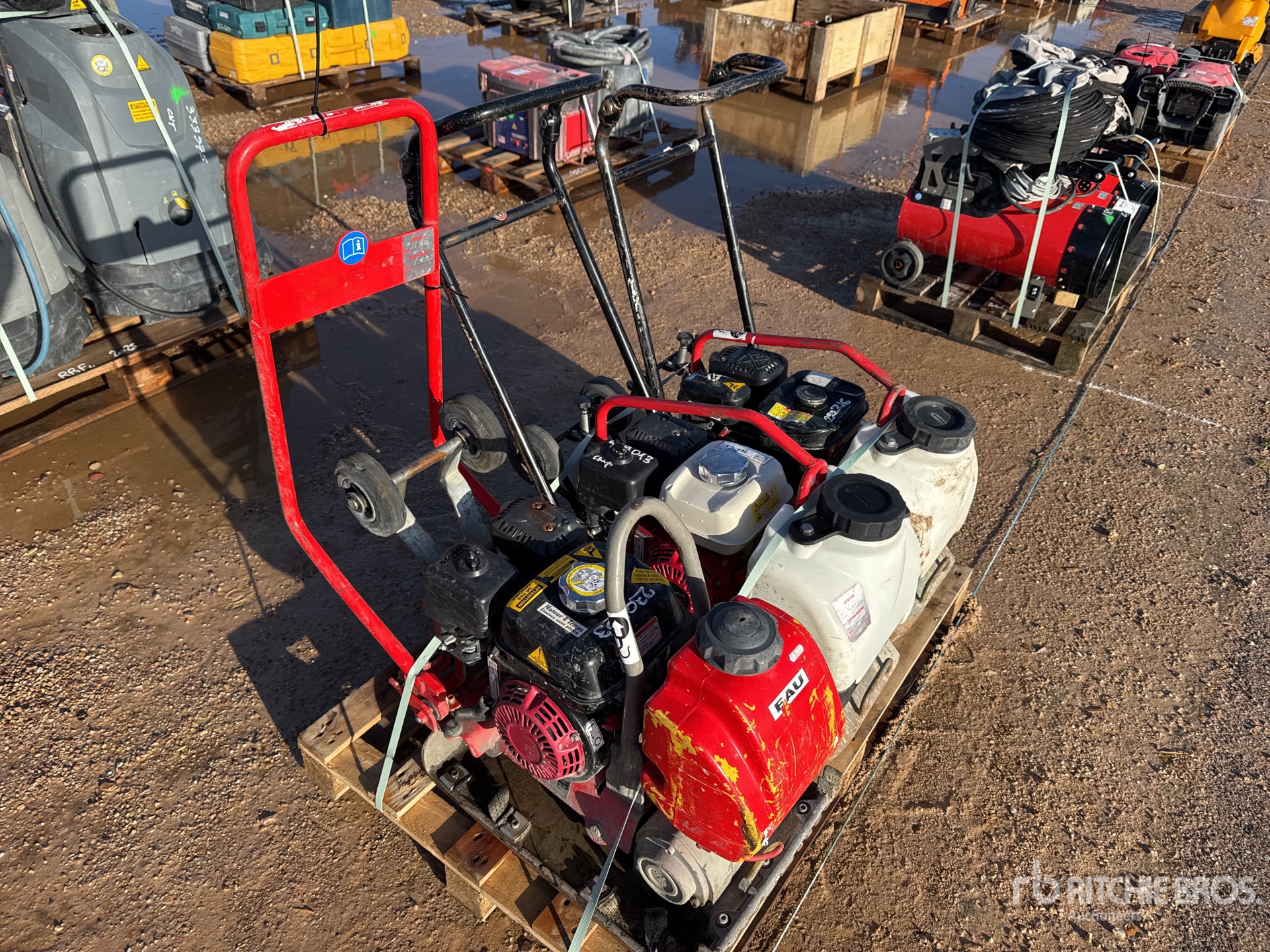 General Appearance with 