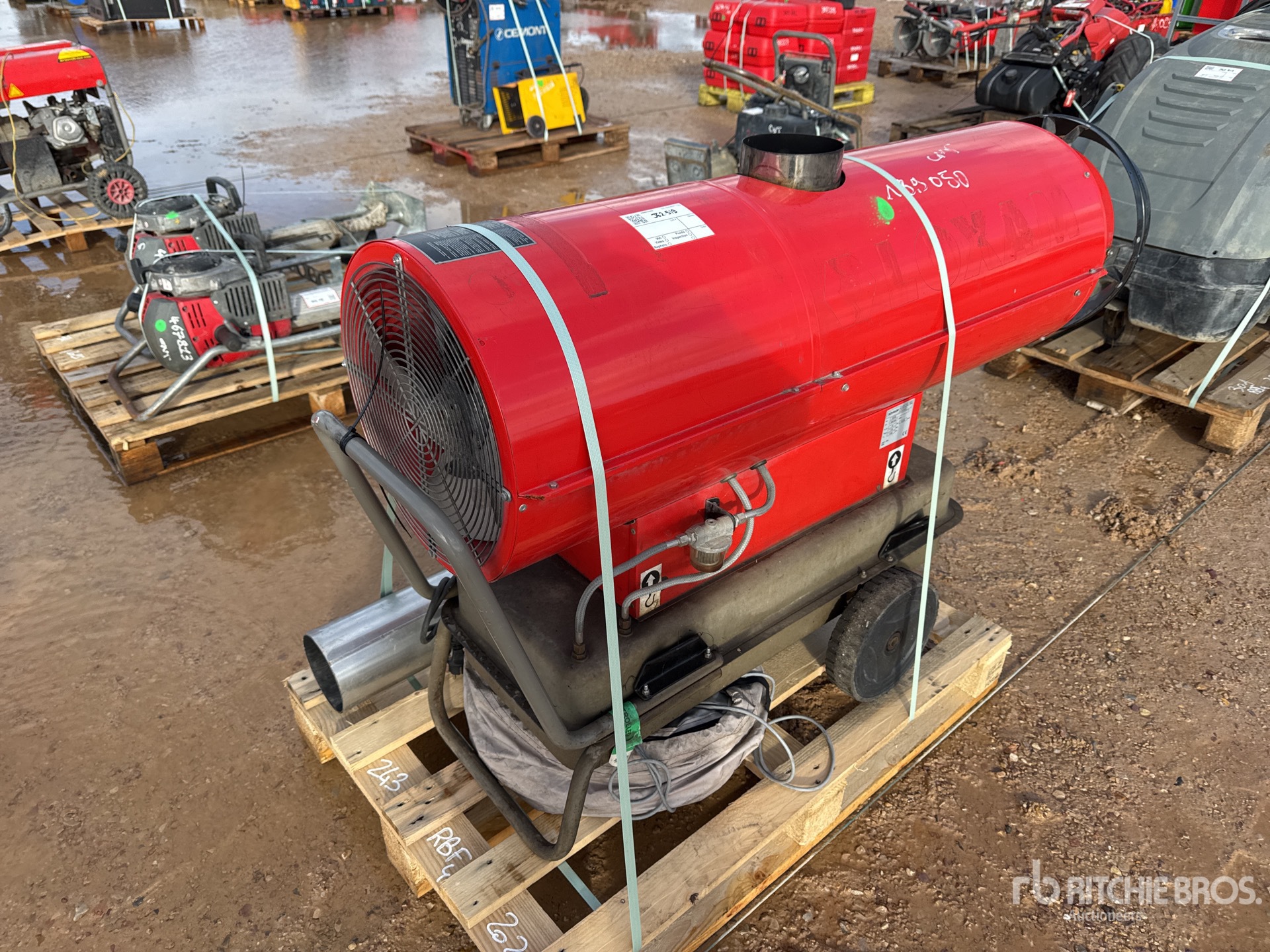 General Appearance with 