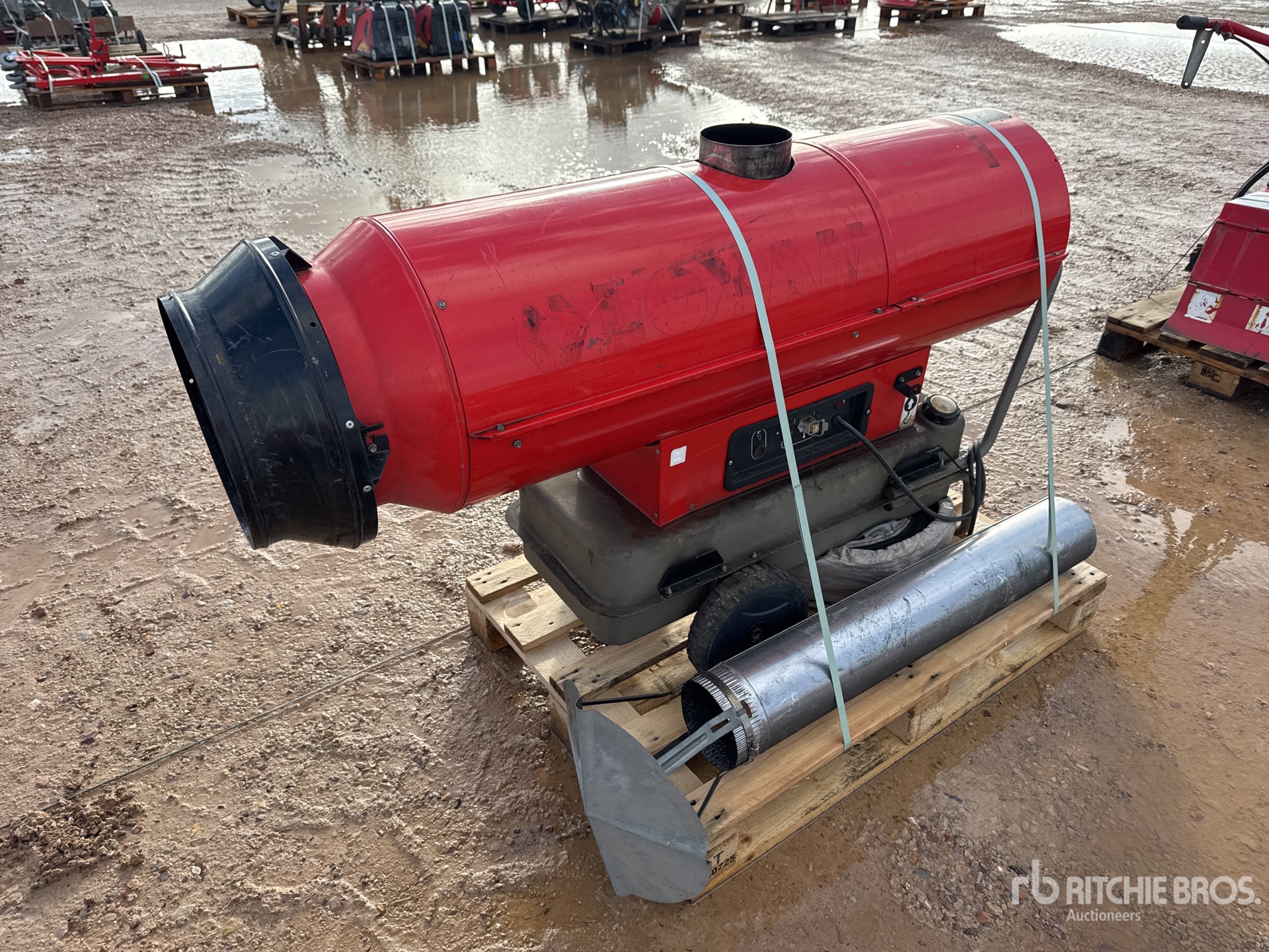 General Appearance with 