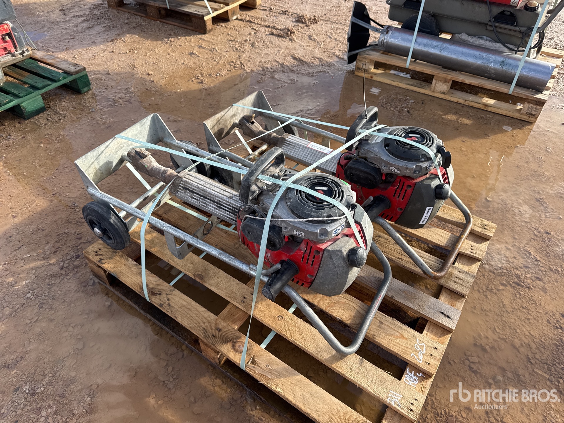 General Appearance with 