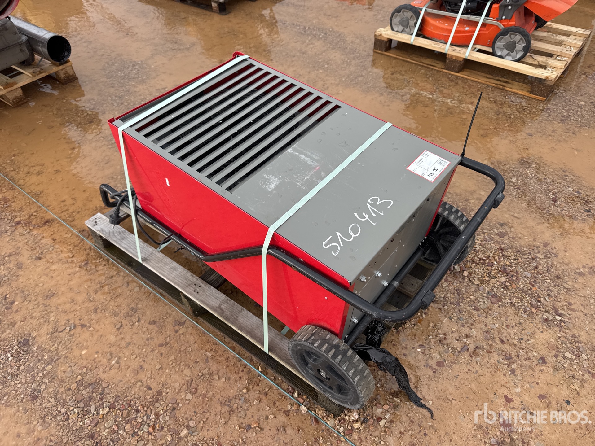 General Appearance with 