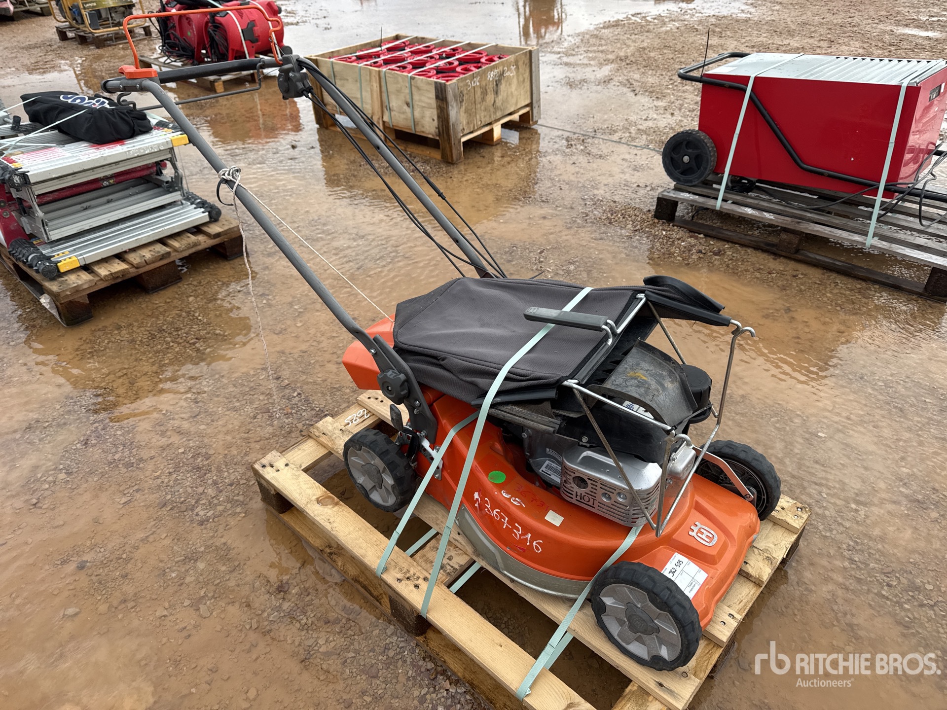 General Appearance with 