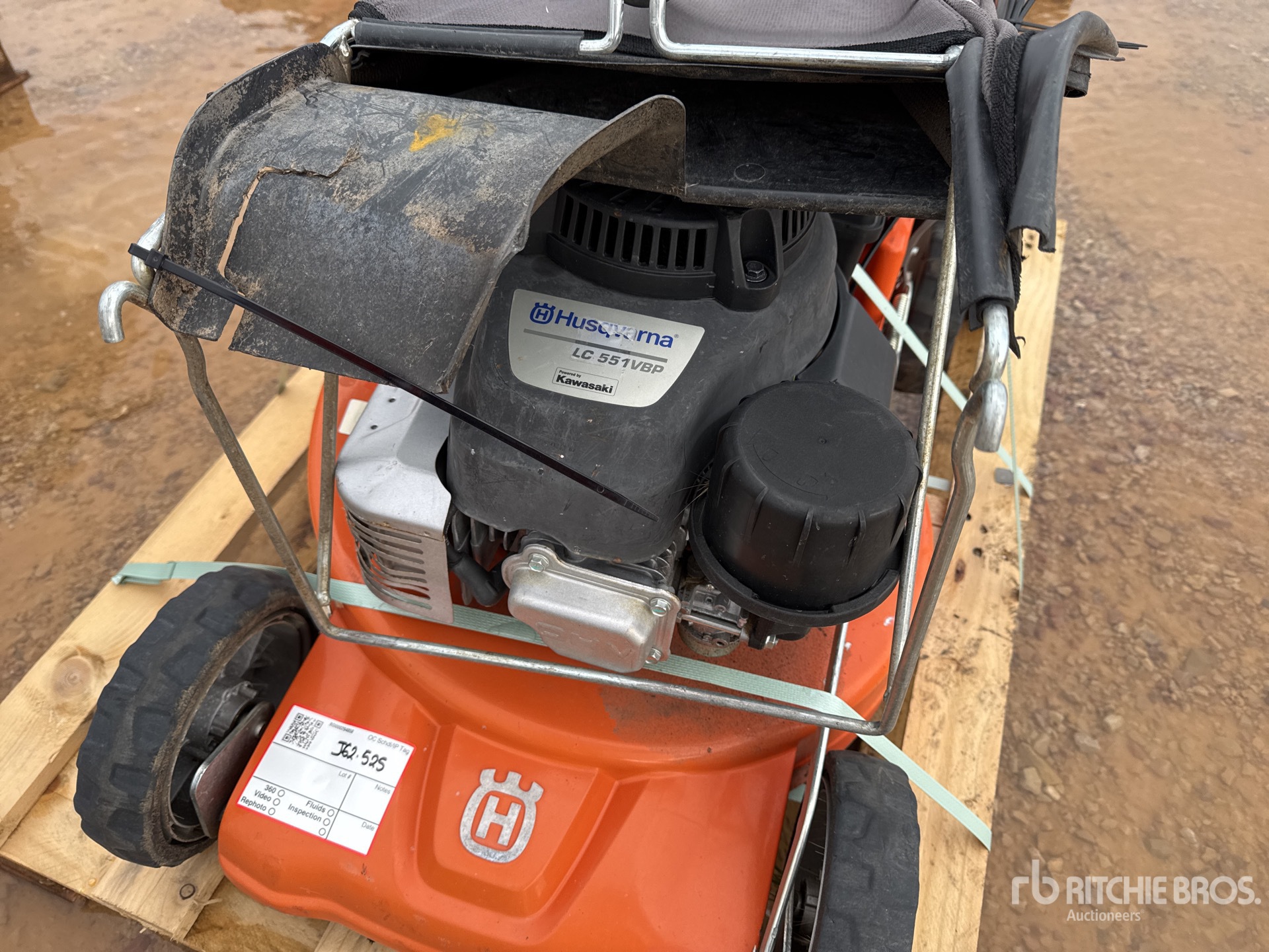 General Appearance with 