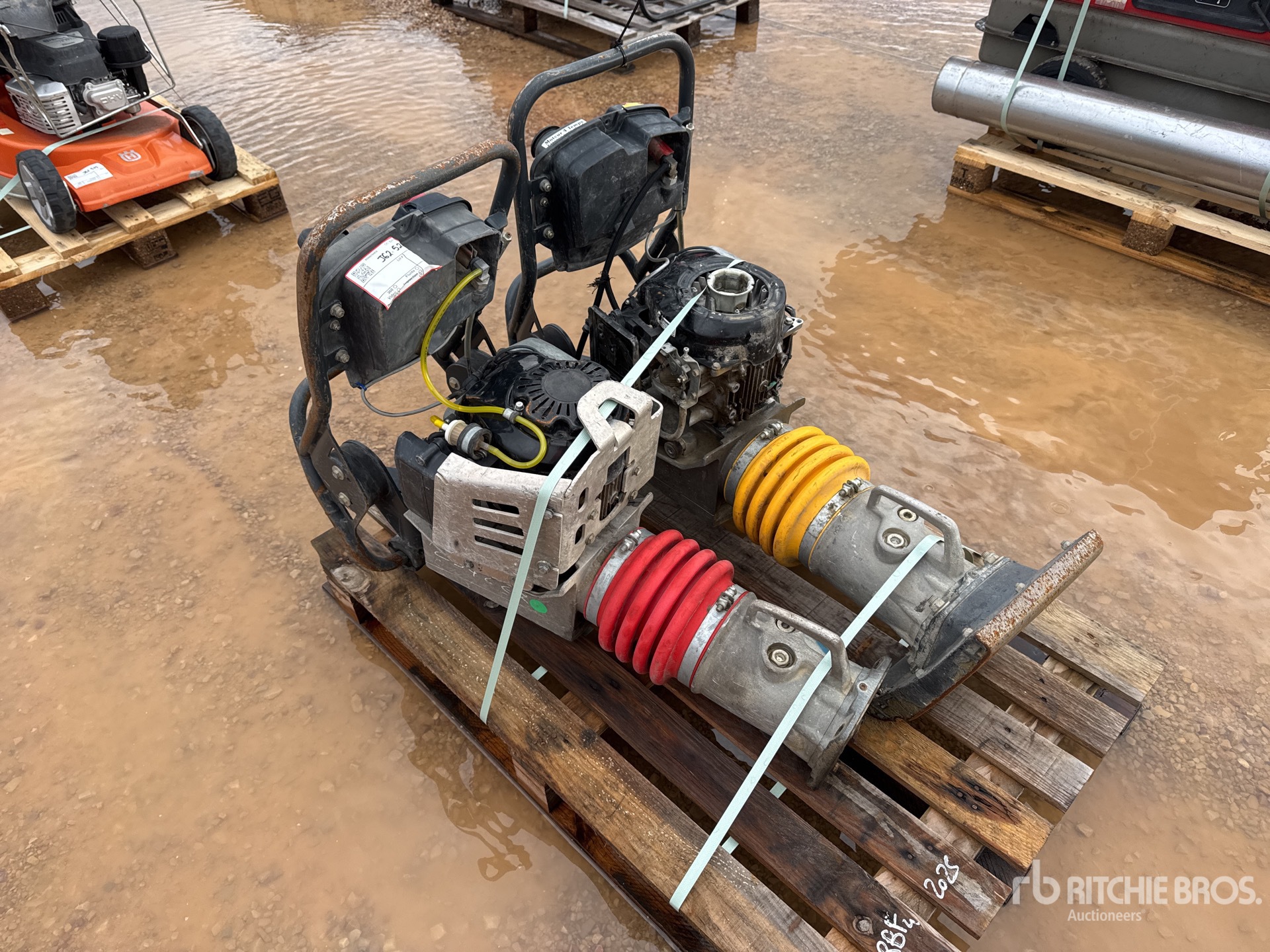 General Appearance with 