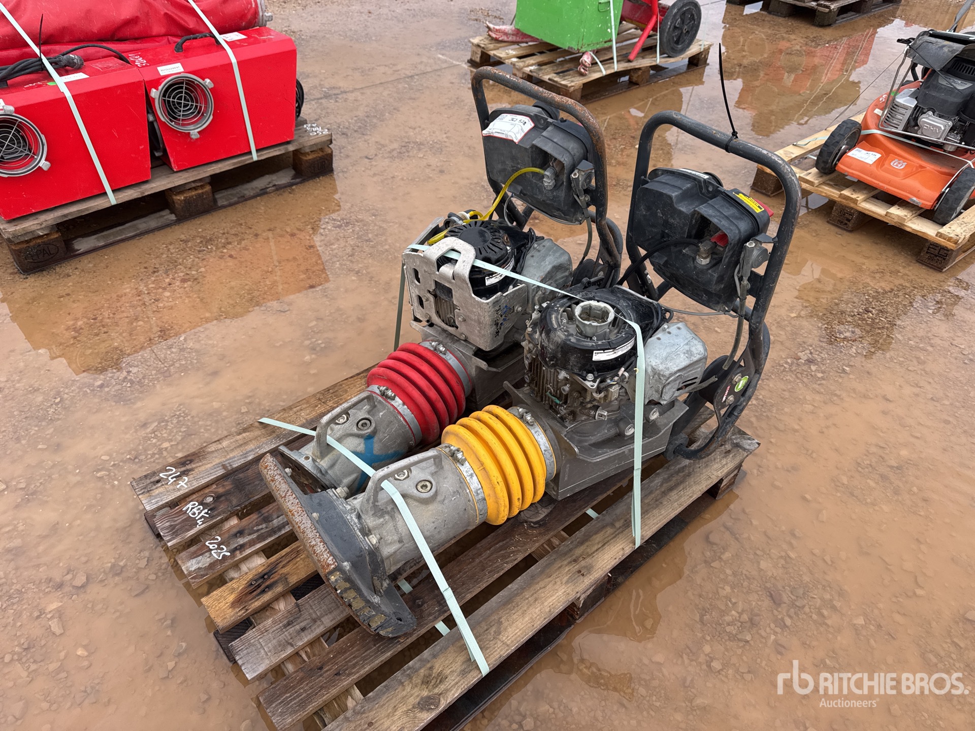 General Appearance with 