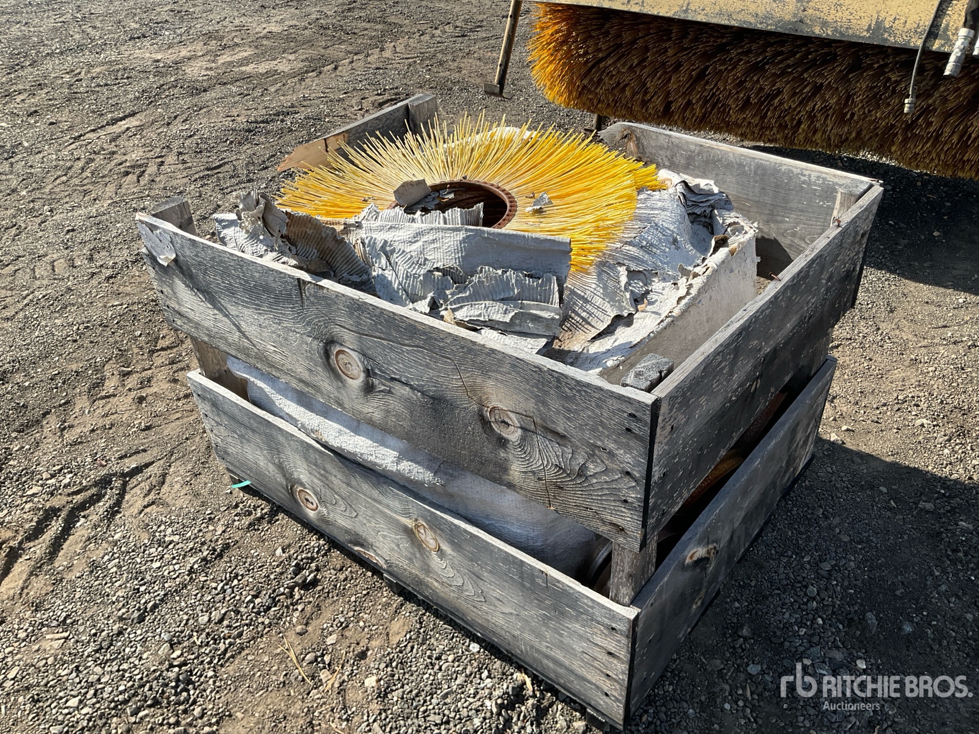 General Appearance with Bild, Ecke hinten links