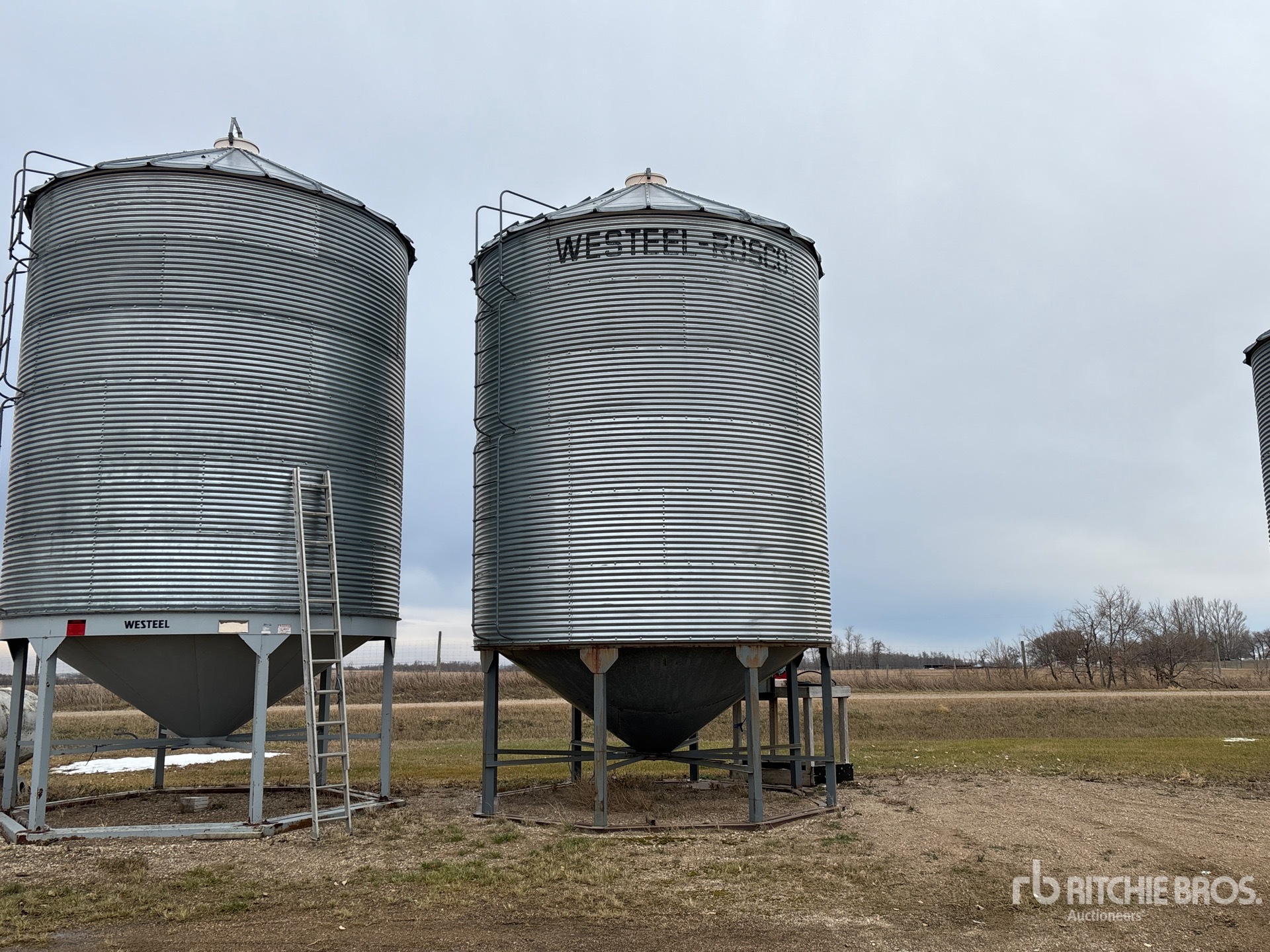 General Appearance with Foto, angolo anteriore sinistro