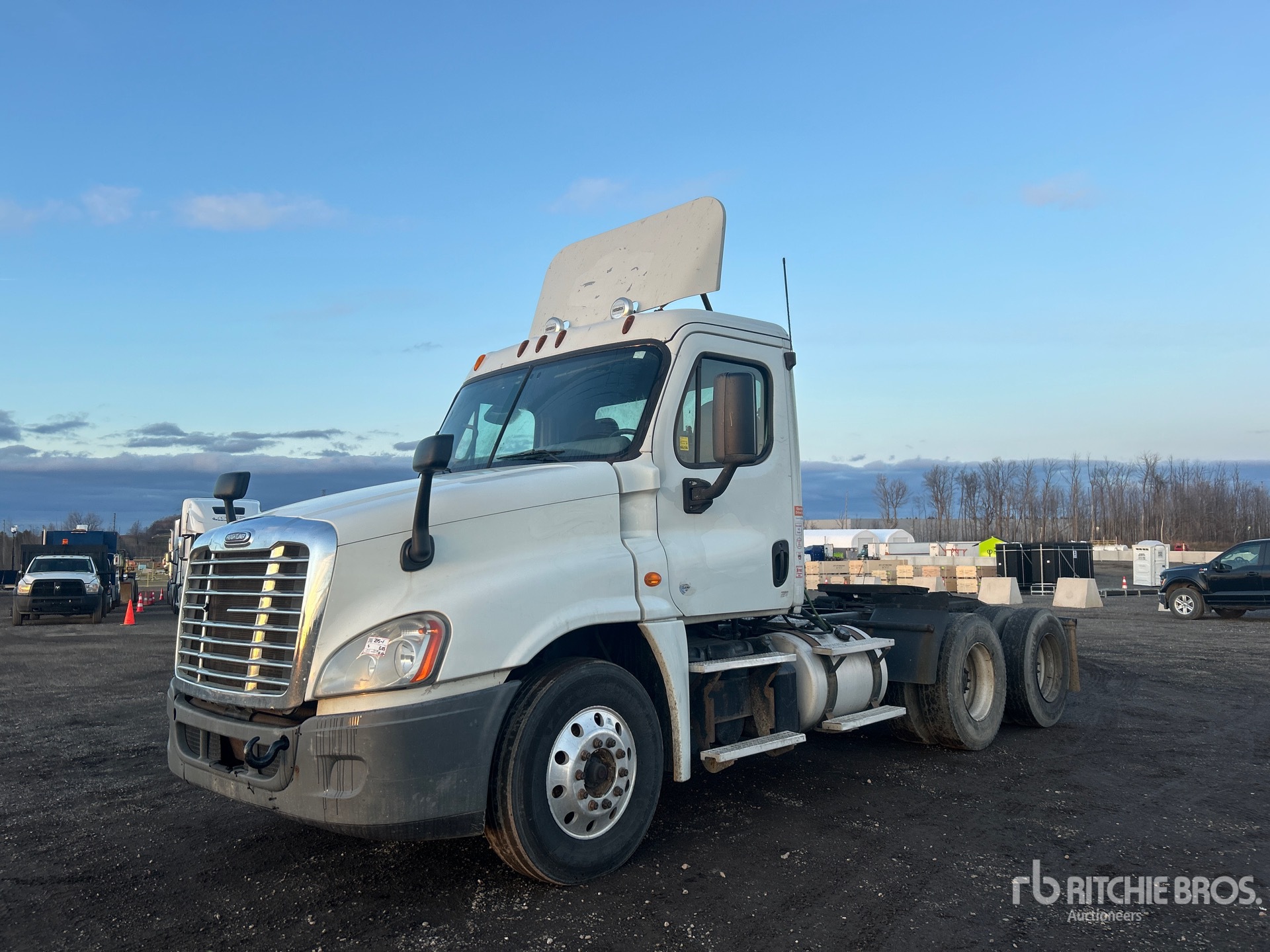 General Appearance with Spin