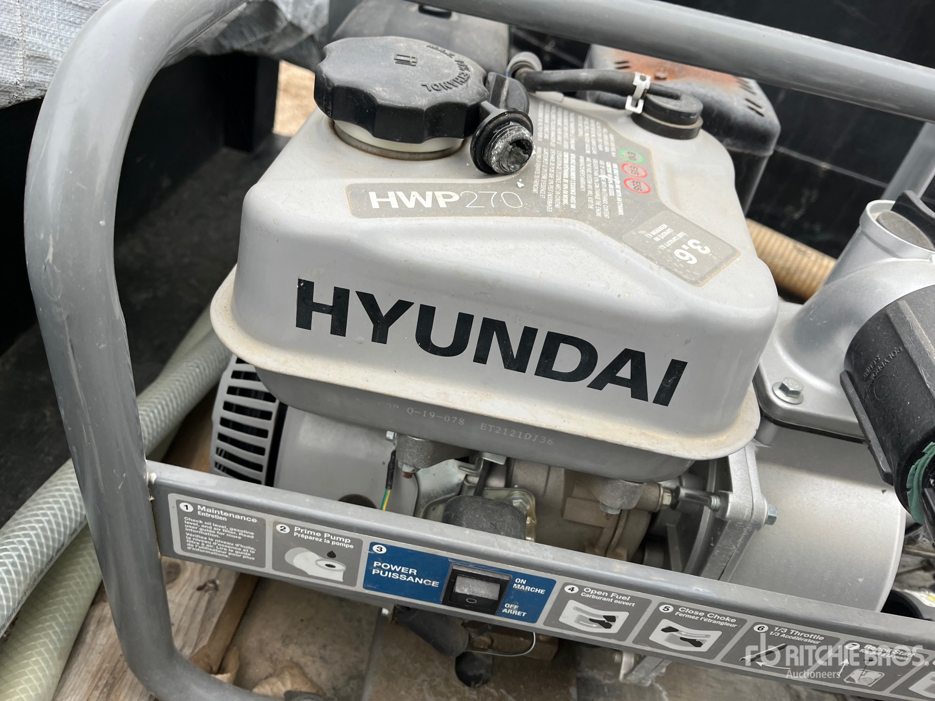 General Appearance with 