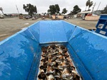 Conveyor/Rollers with